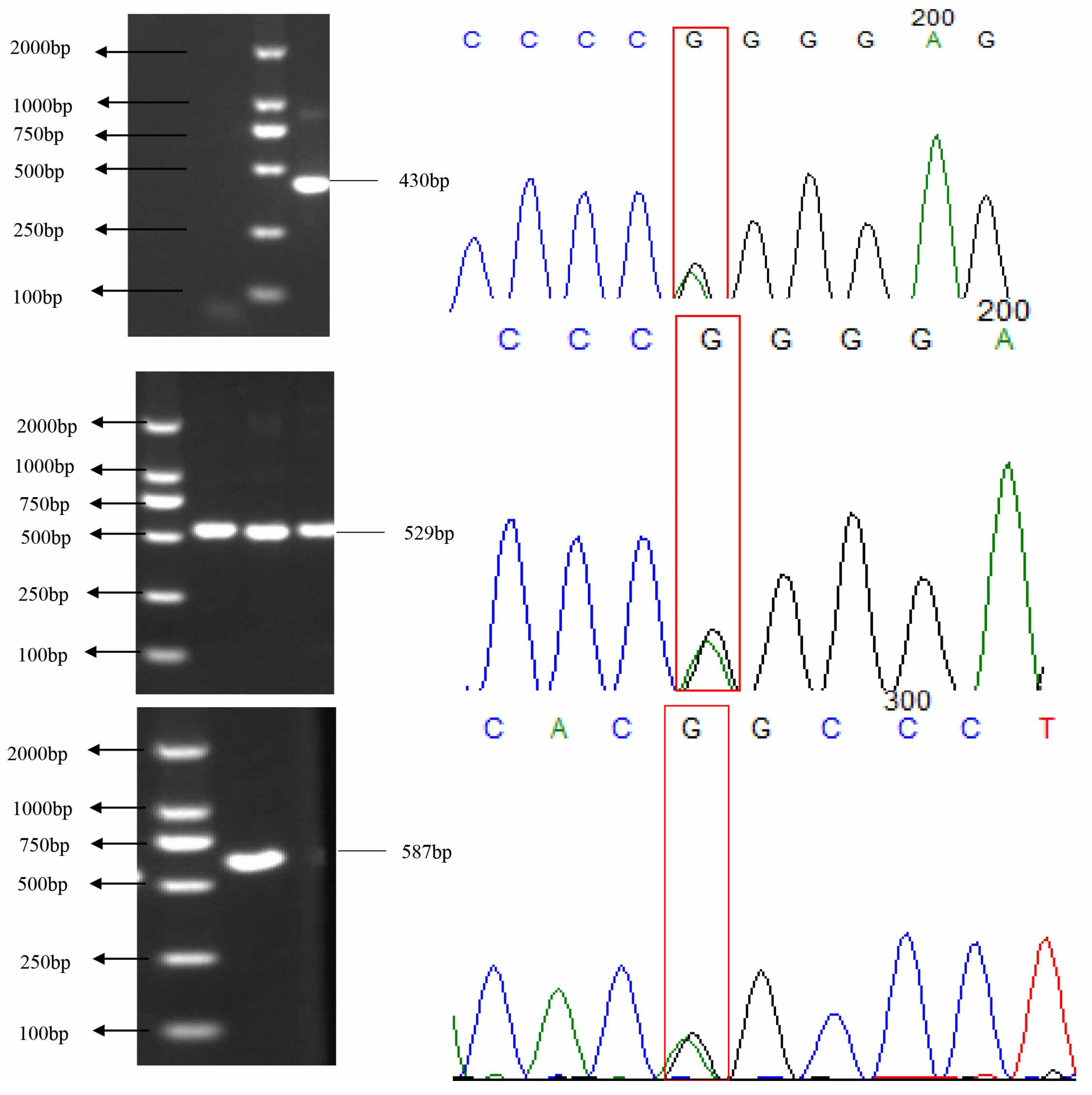 Animals 13 03720 g002 Animals 13 03720 g002