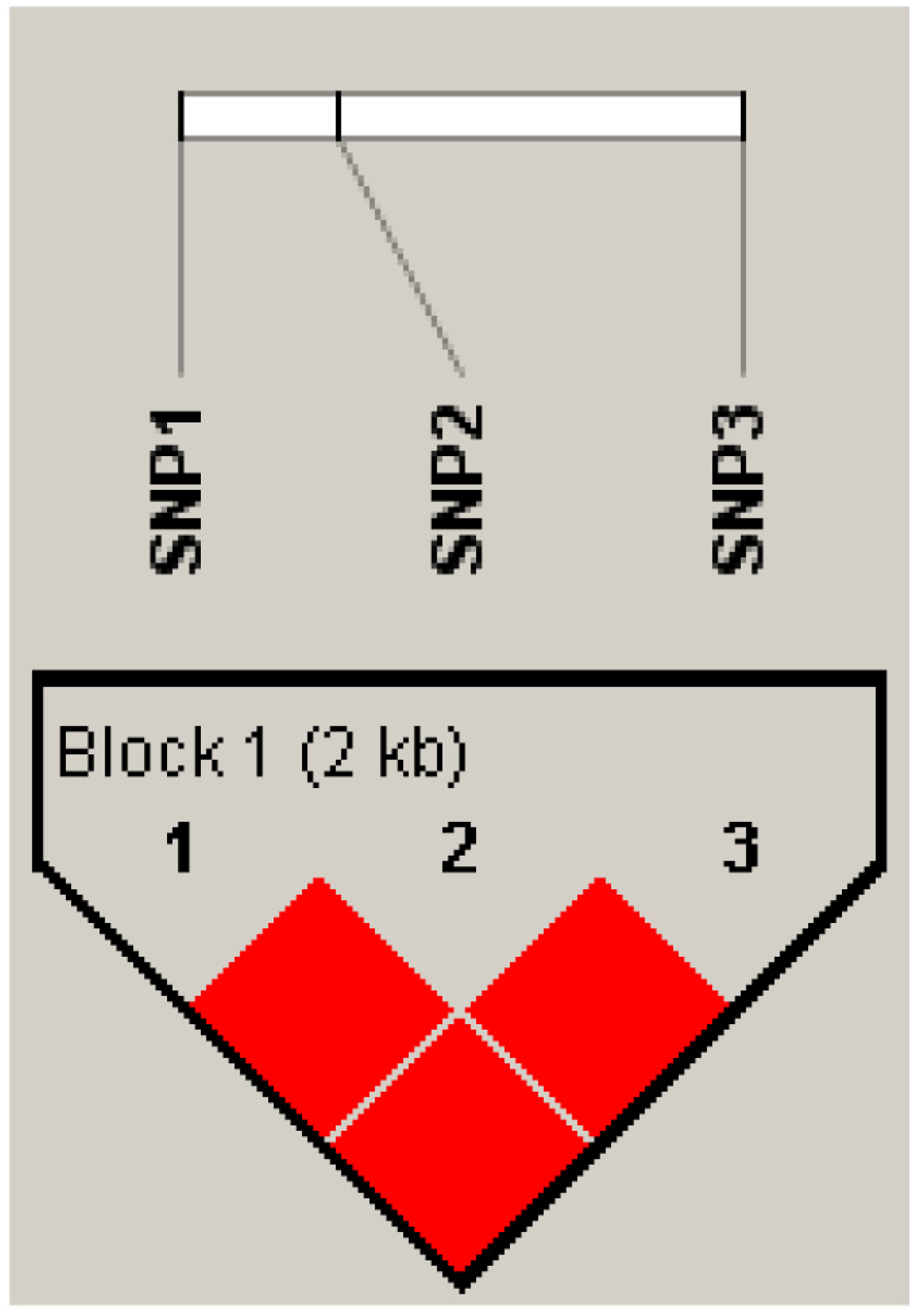 Animals 13 03720 g004 Animals 13 03720 g004