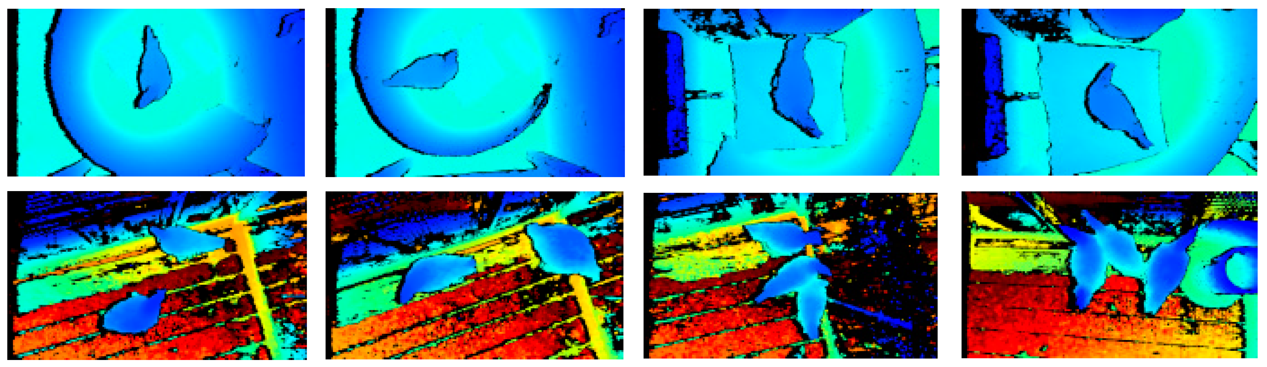 Animals 13 03721 g001