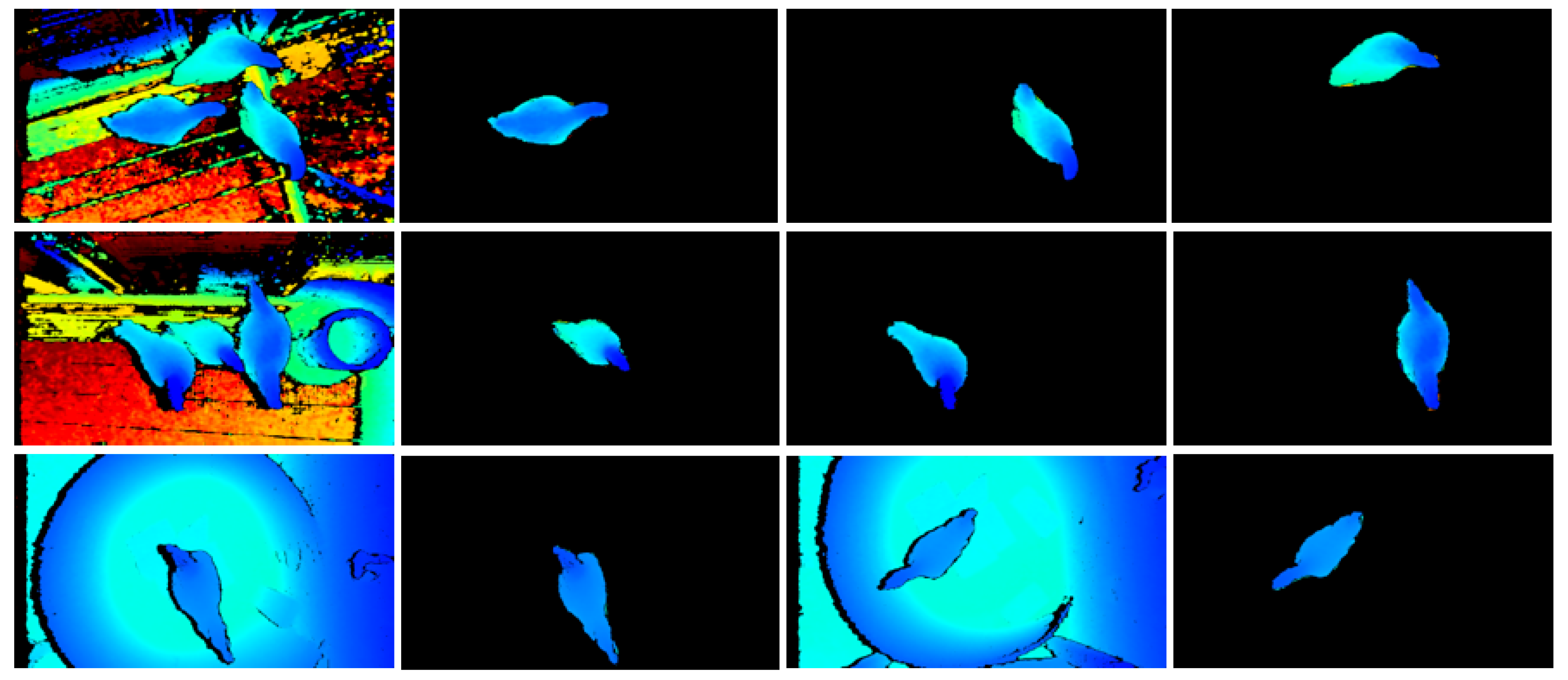 Animals 13 03721 g011