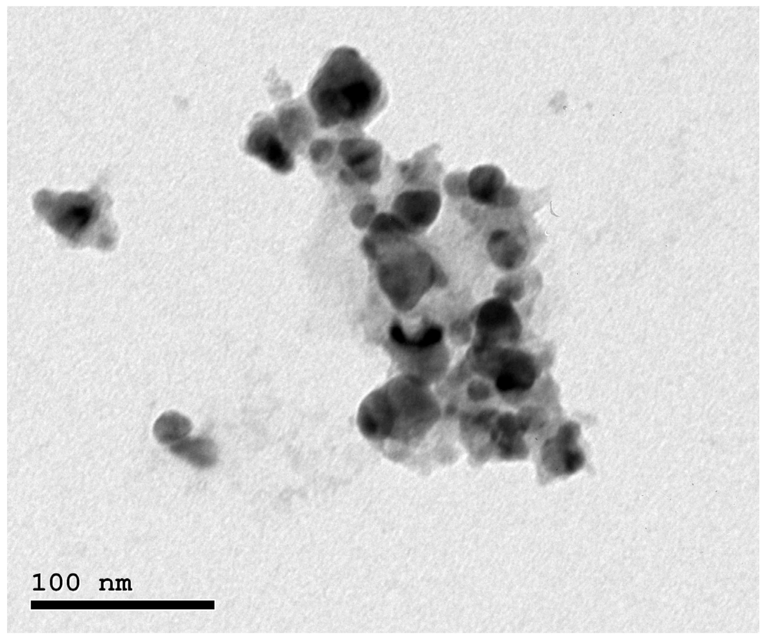 Animals 13 03725 g001