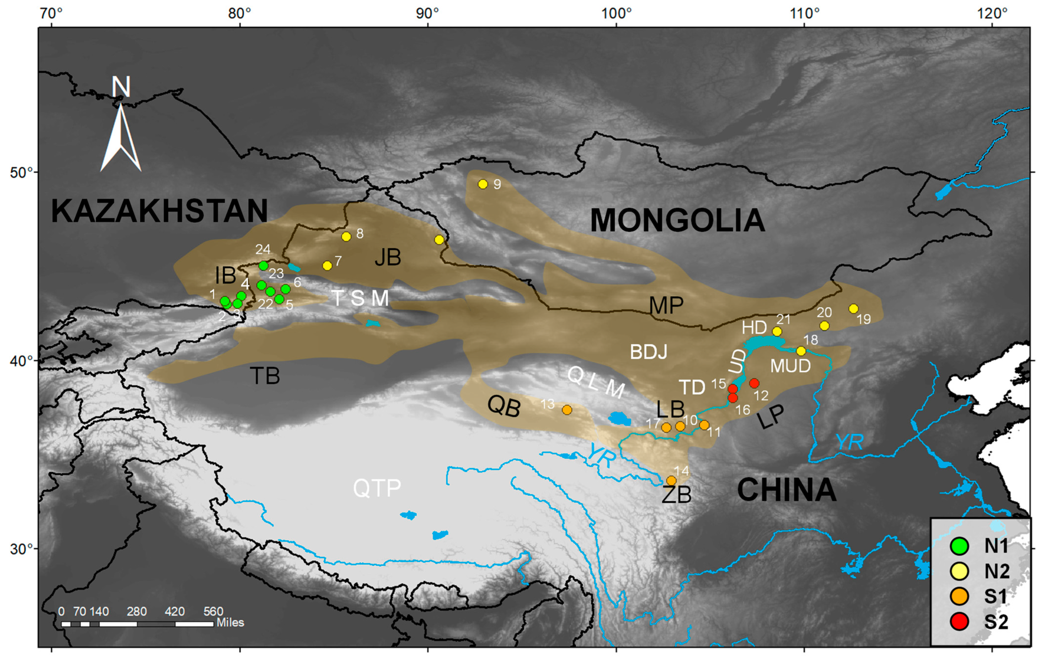 Animals 13 03726 g001