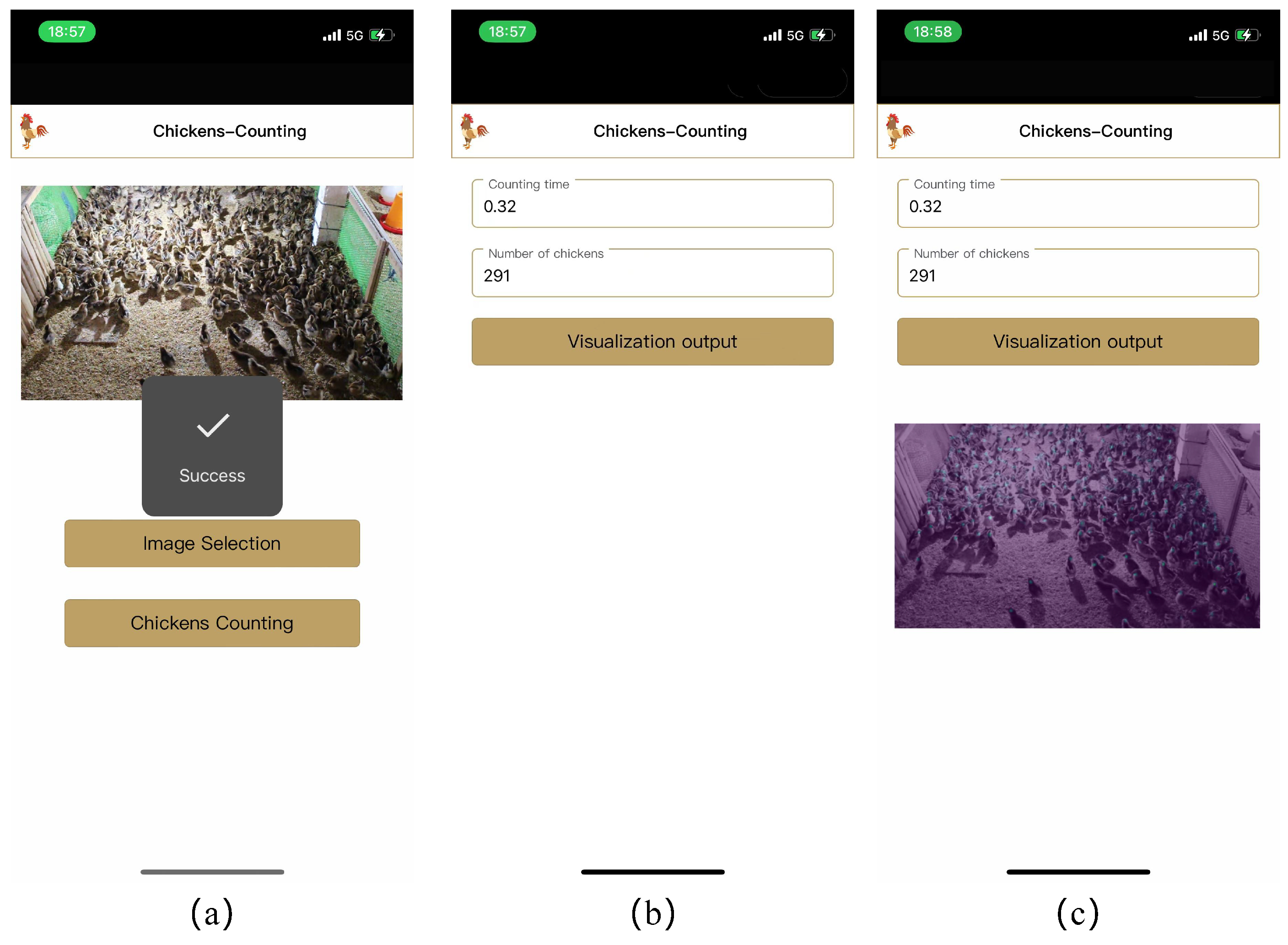 Animals 13 03729 g012