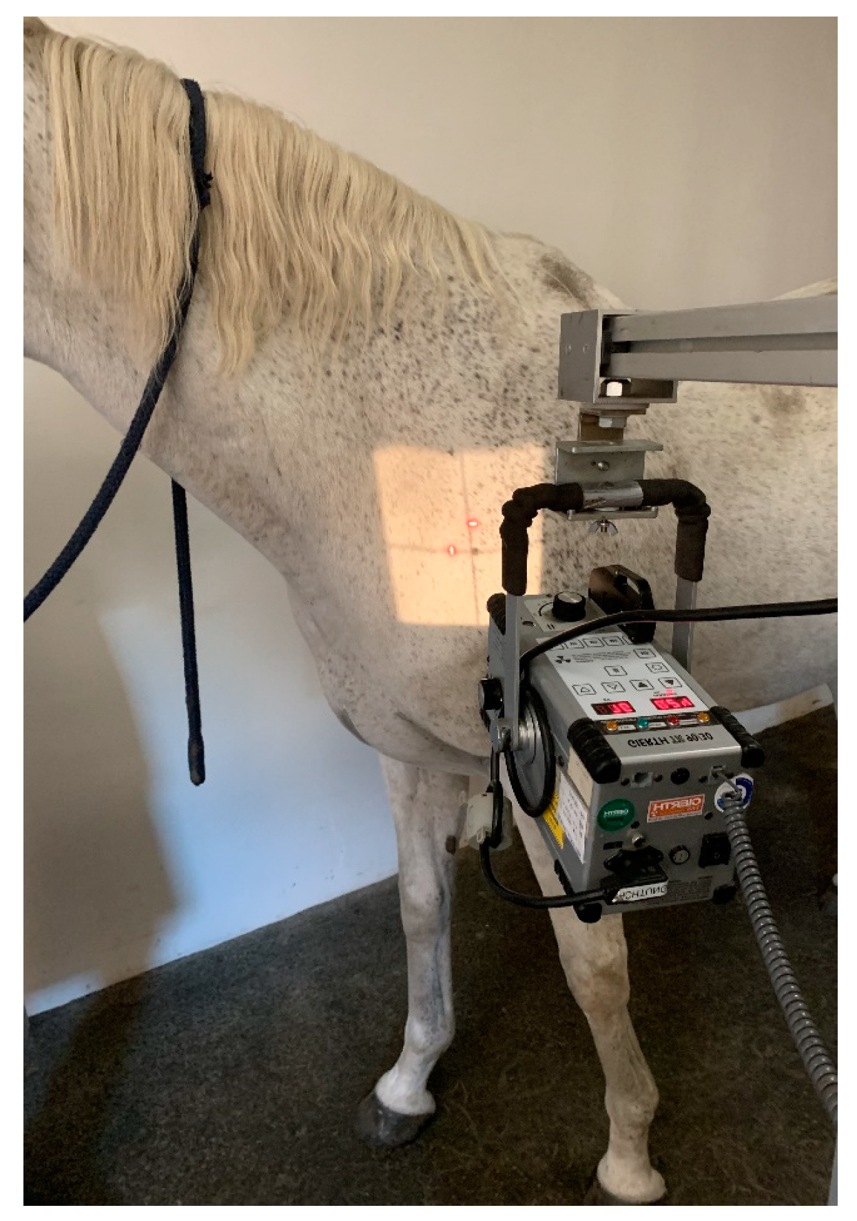 Animals 13 03732 g002