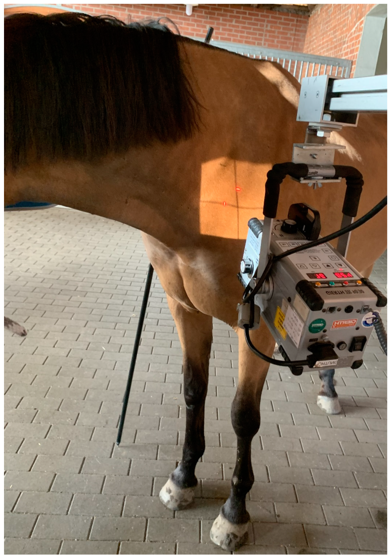 Animals 13 03732 g005