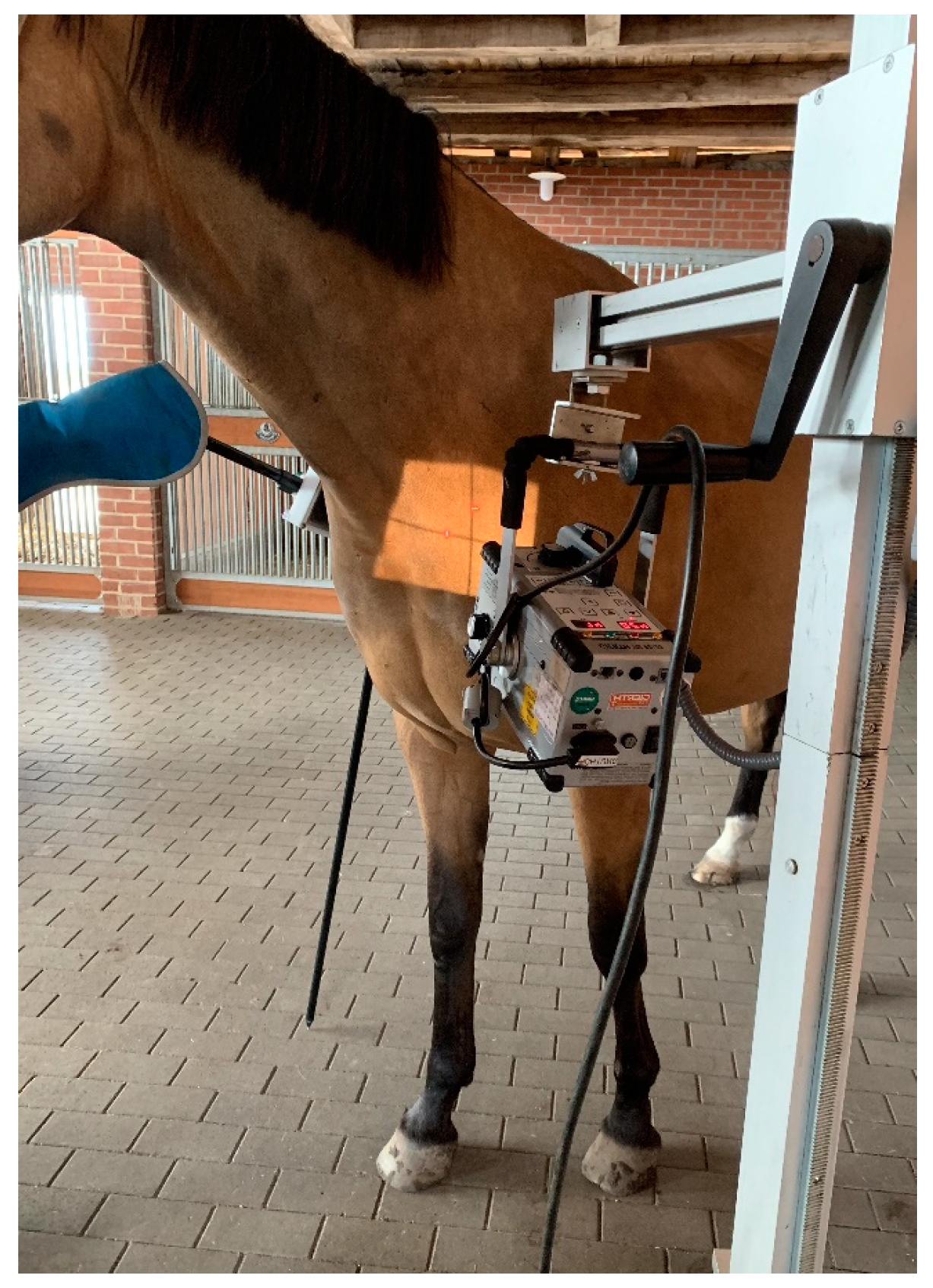 Animals 13 03732 g007