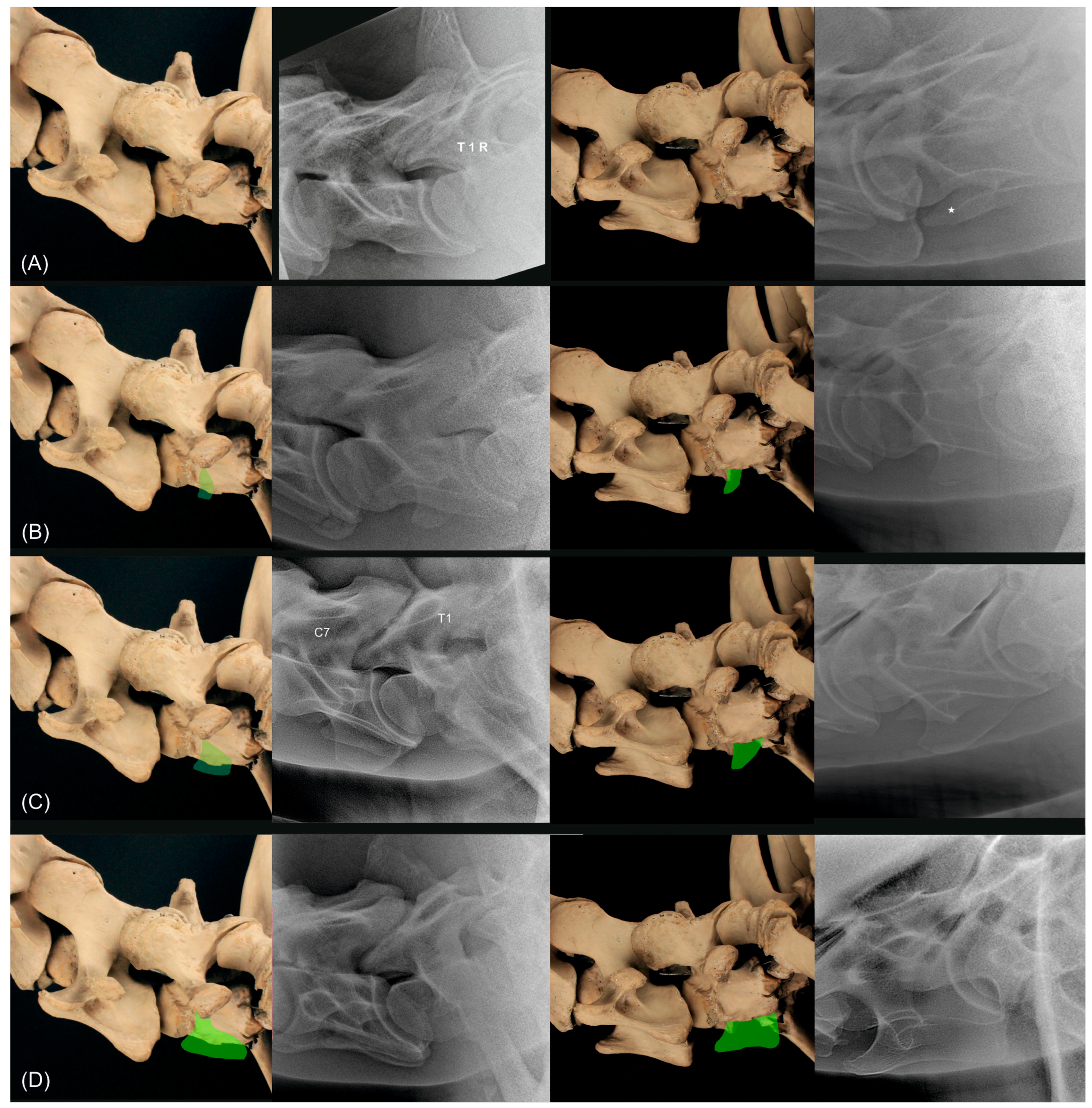 Animals 13 03732 g010