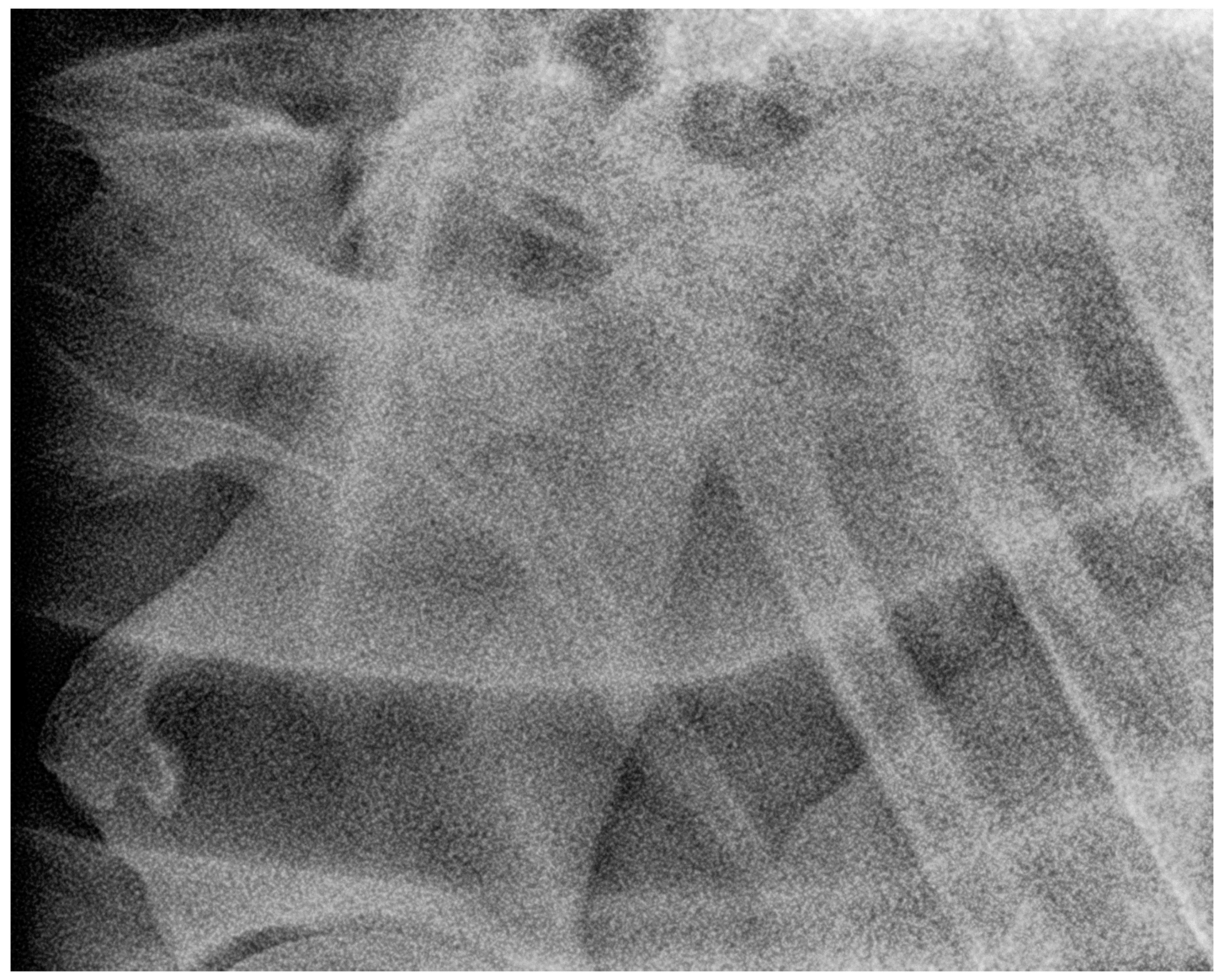 Animals 13 03732 g013