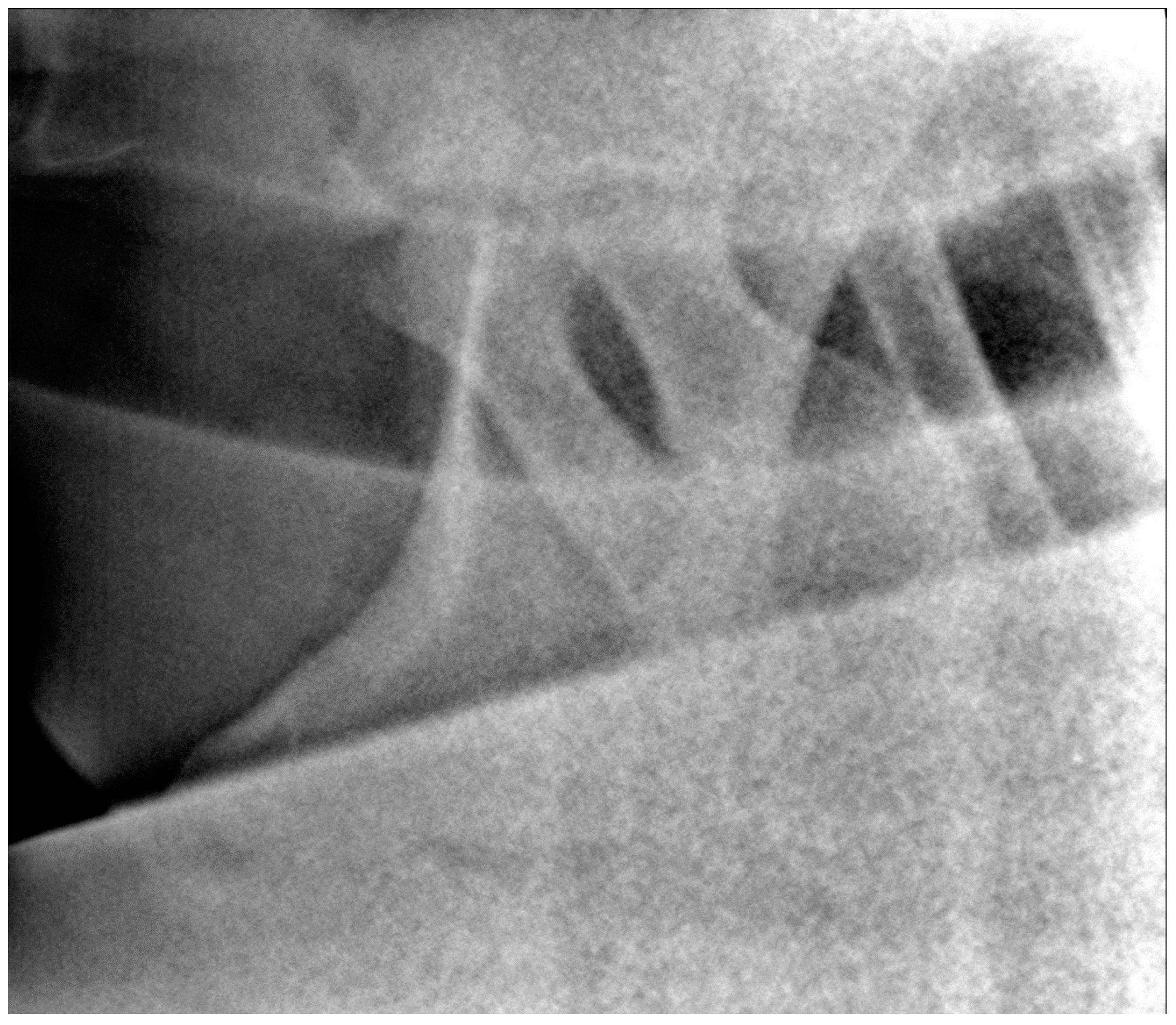 Animals 13 03732 g017