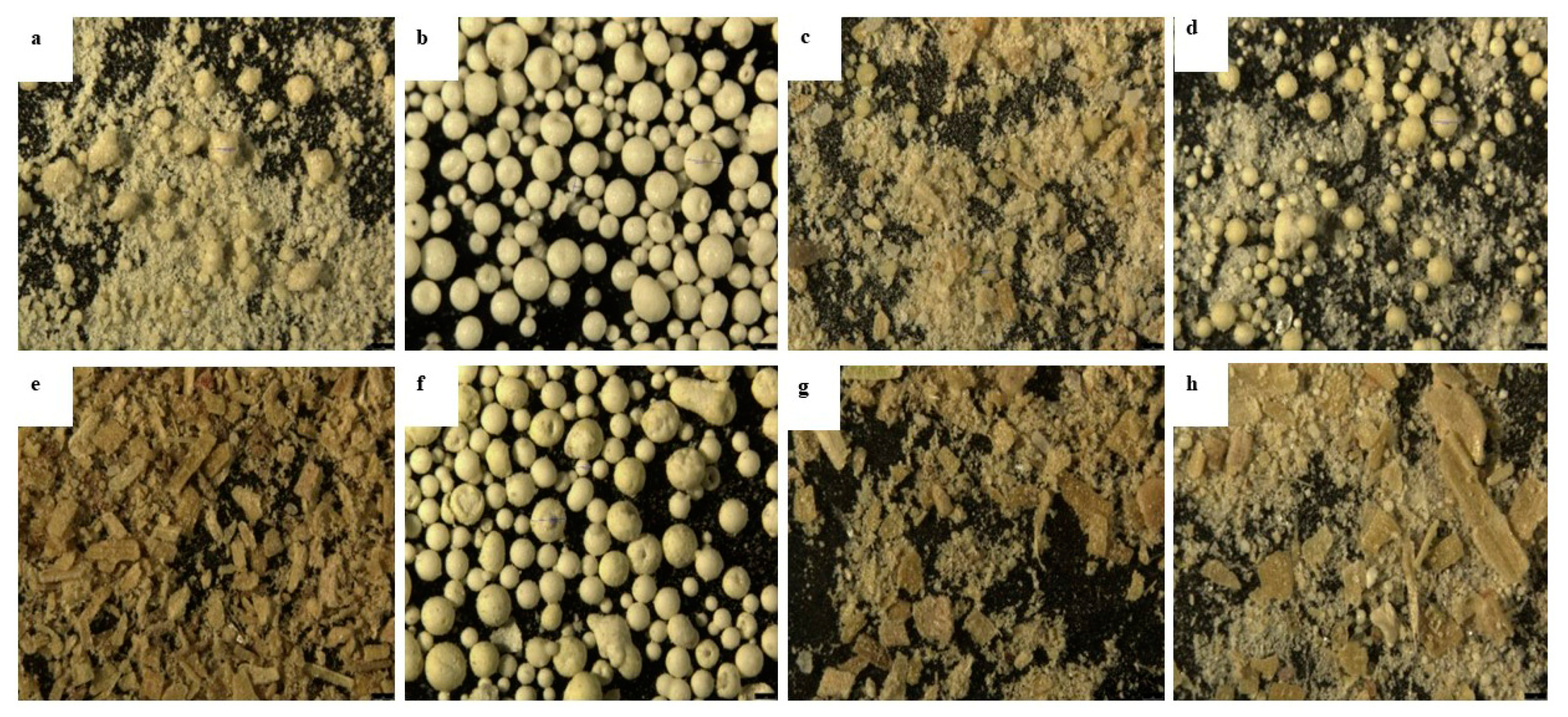 Animals 13 03741 g002 Animals 13 03741 g002