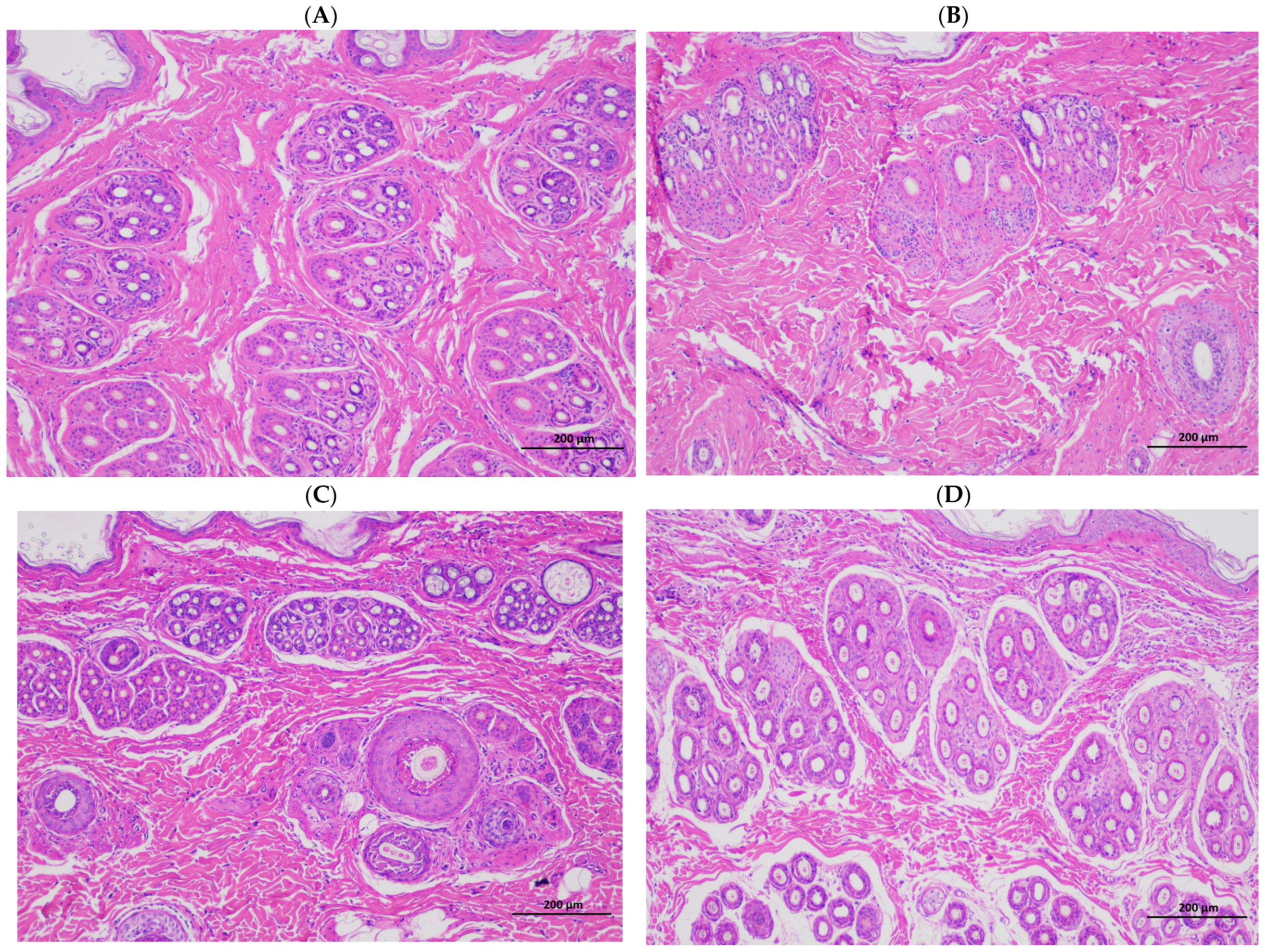 Animals 13 03742 g001