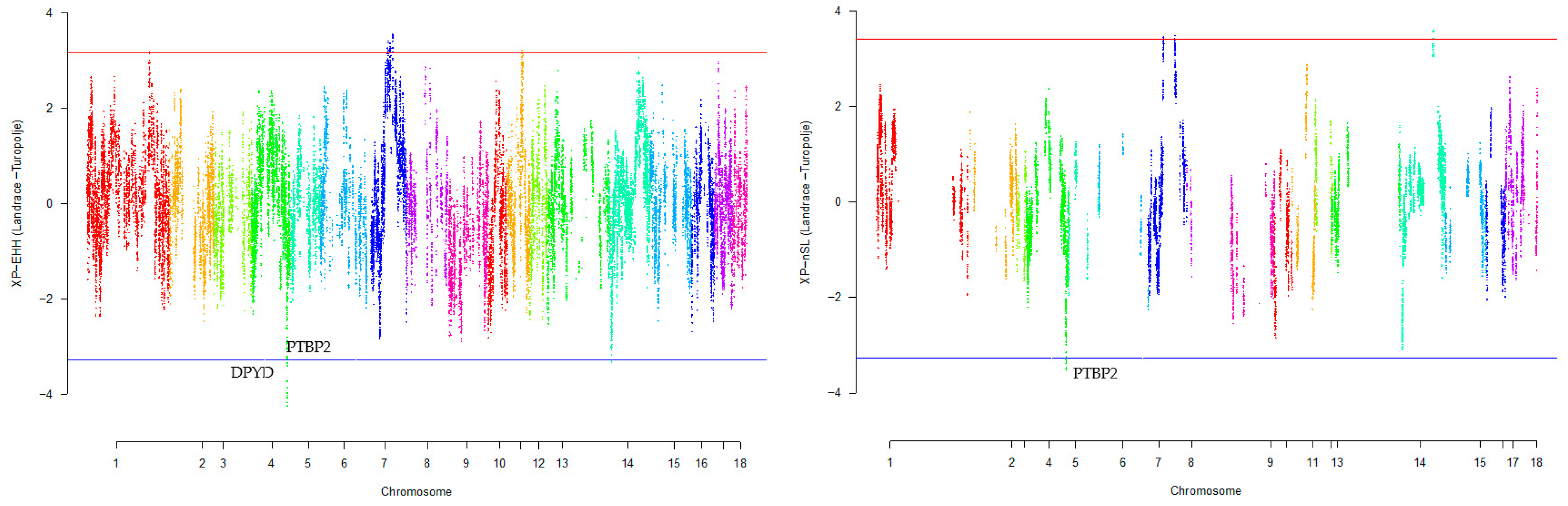 Animals 13 03749 g004