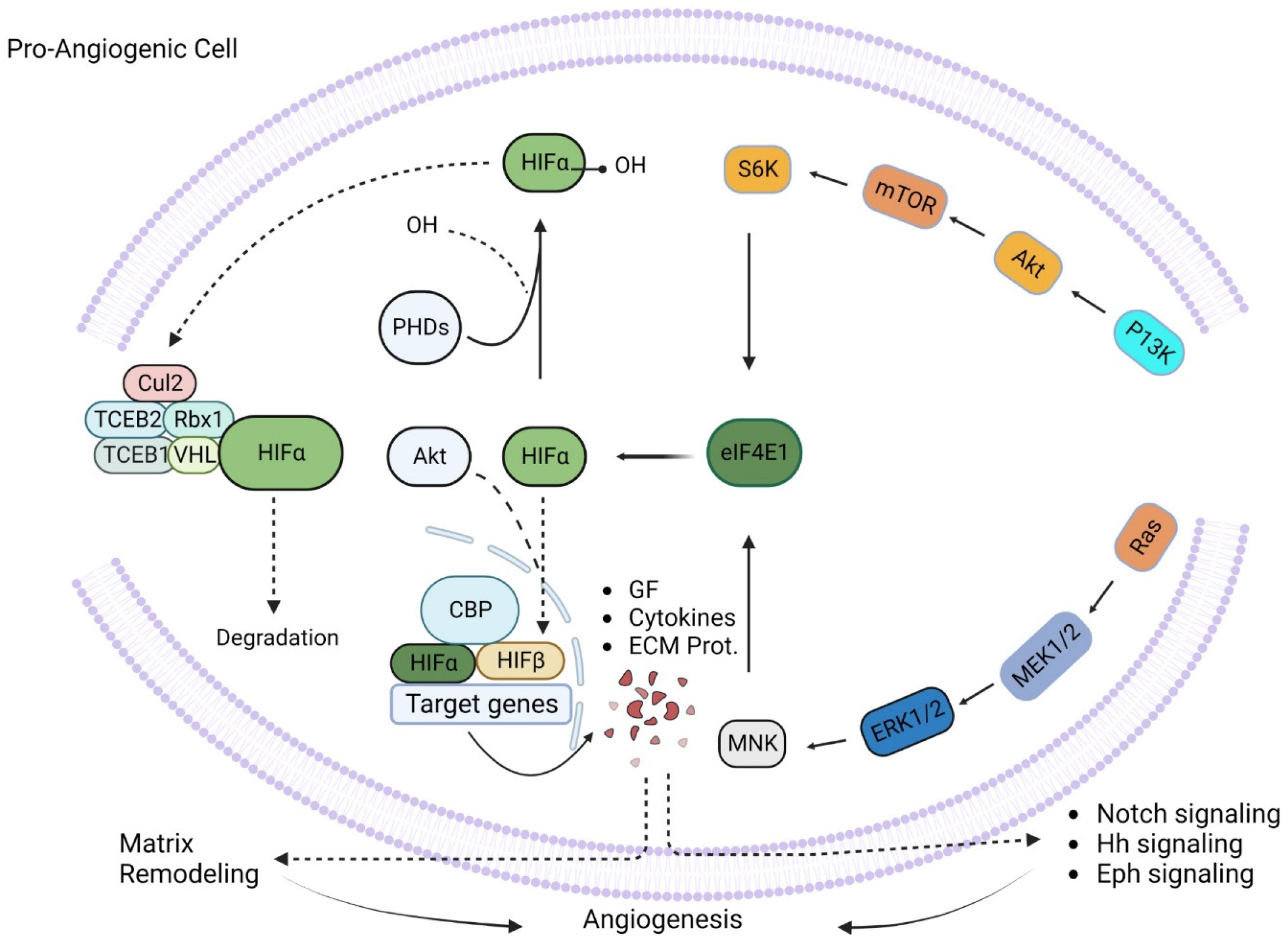 Animals 13 03750 g003 Animals 13 03750 g003