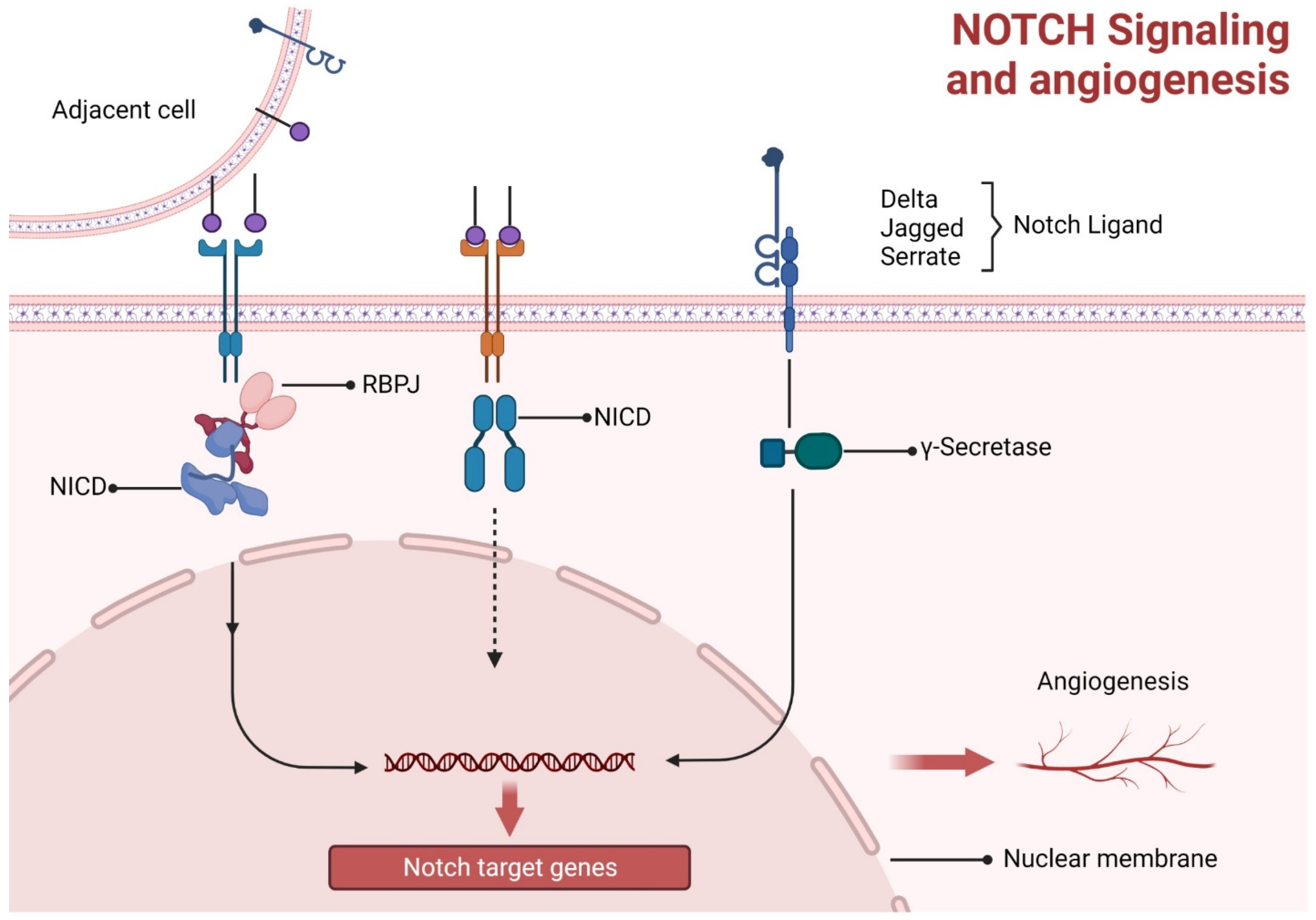 Animals 13 03750 g005 Animals 13 03750 g005