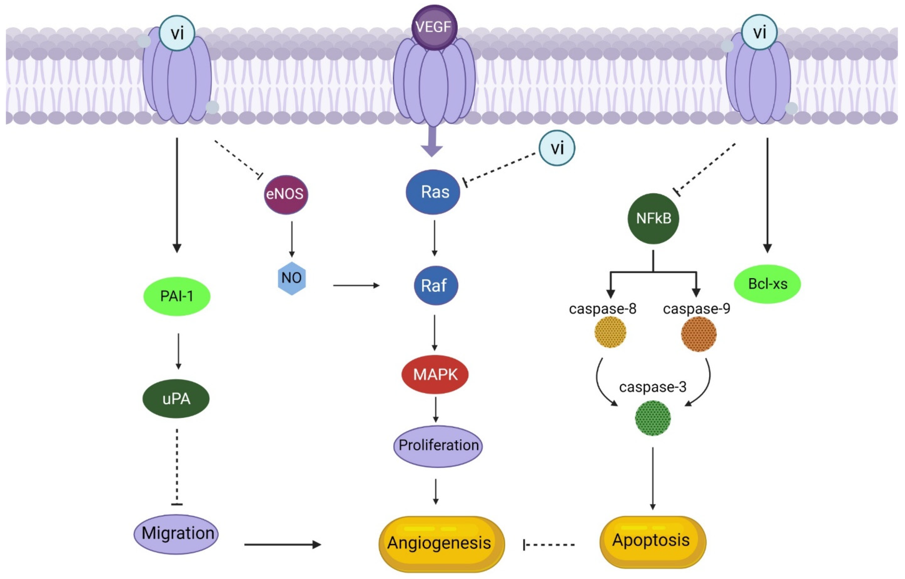 Animals 13 03750 g007 Animals 13 03750 g007