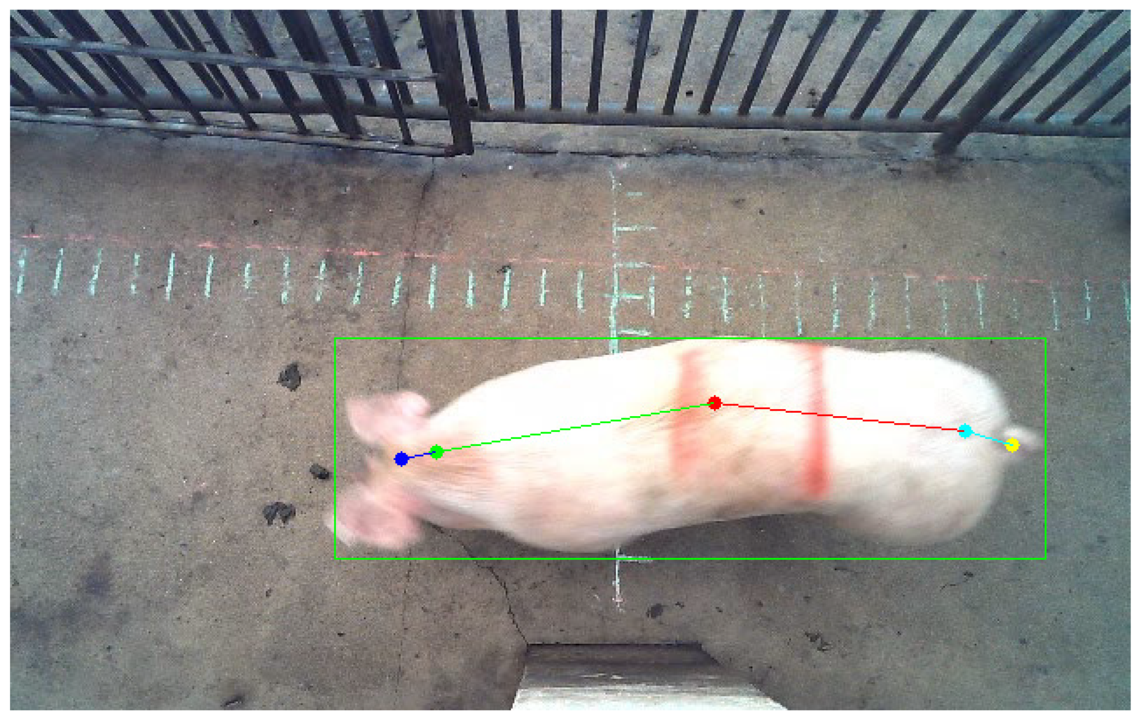 Animals 13 03755 g003