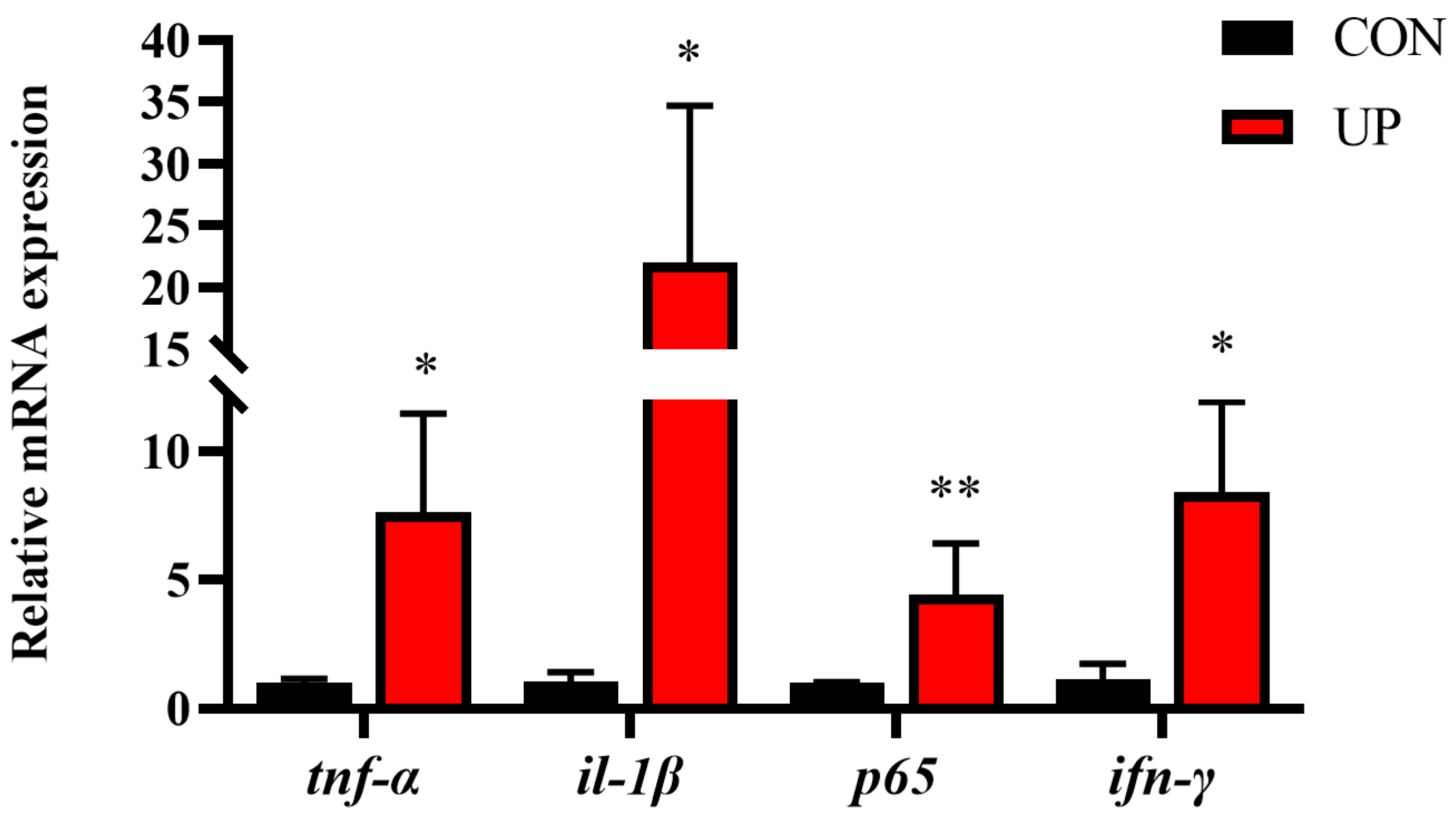 Animals 13 03768 g005