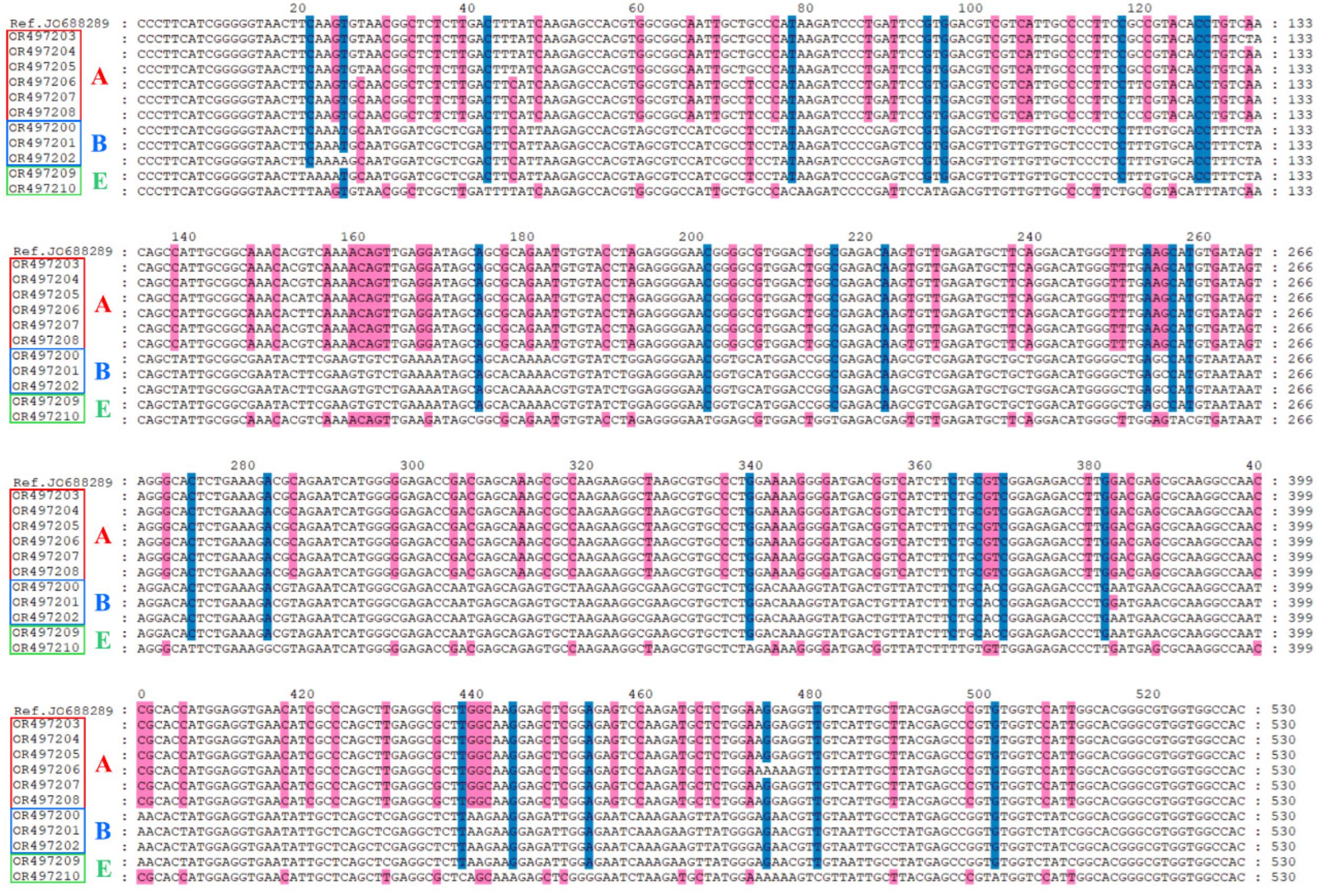 Animals 13 03771 g001