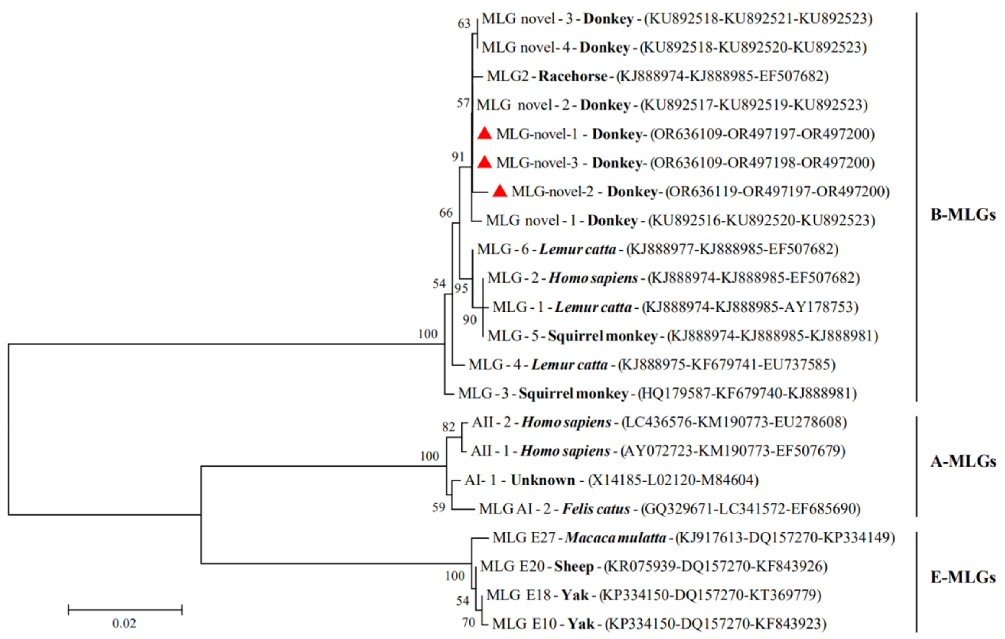 Animals 13 03771 g002