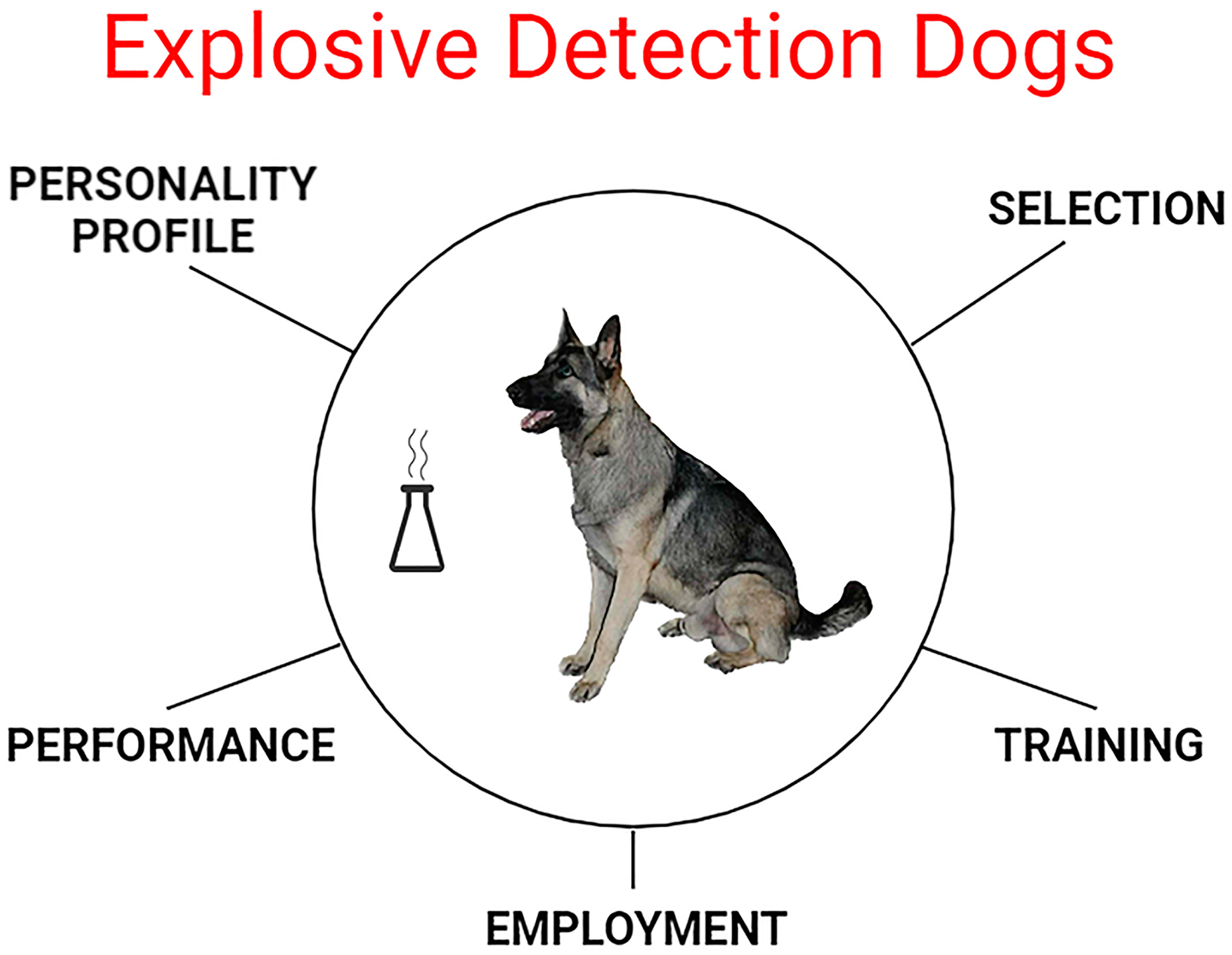 Animals 13 03773 g002