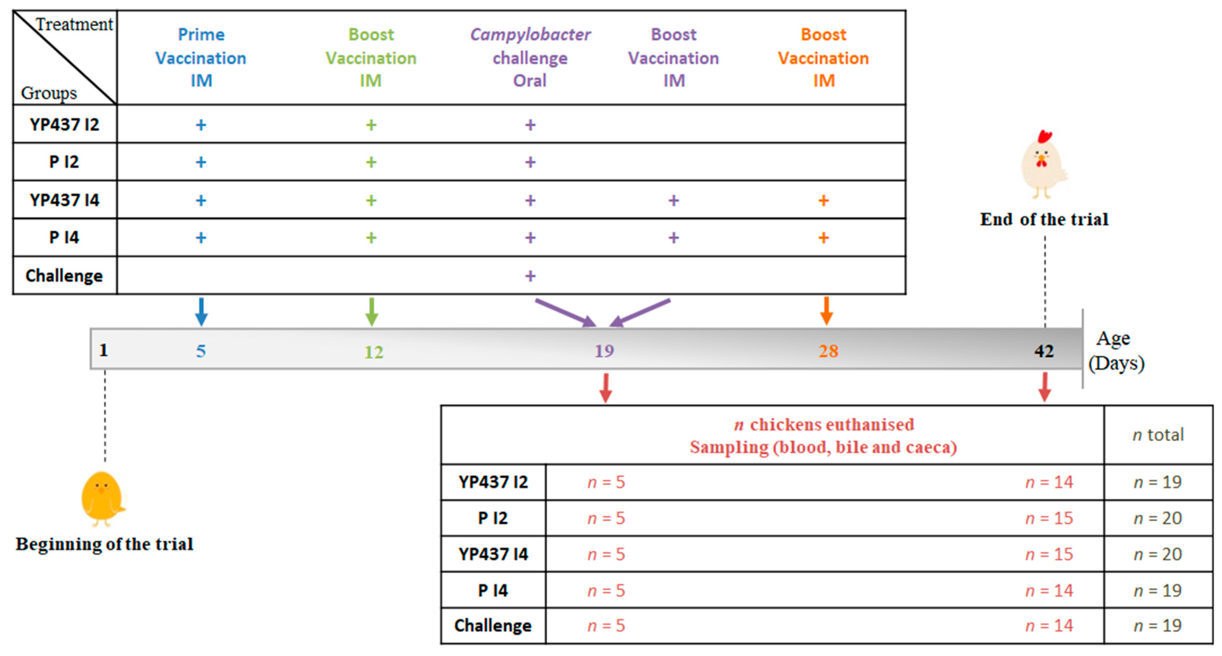 Animals 13 03779 g001