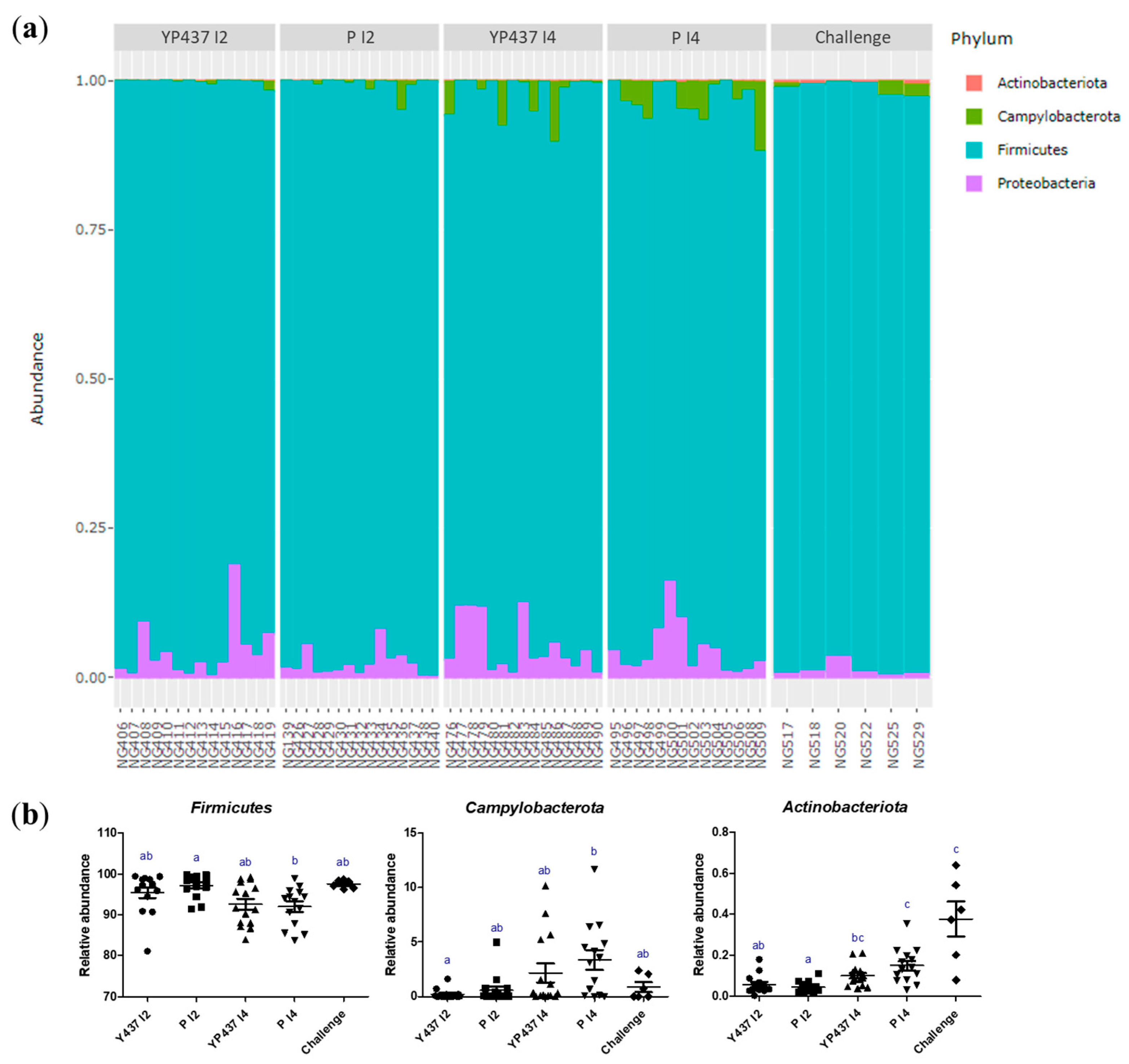 Animals 13 03779 g006