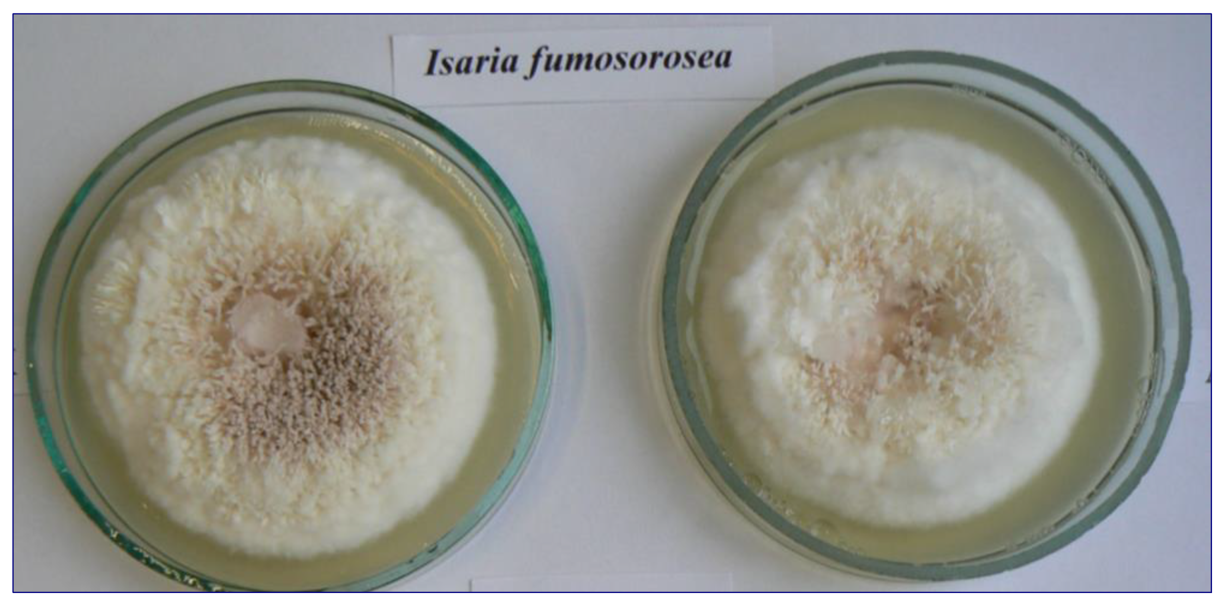 Animals 13 03782 g001