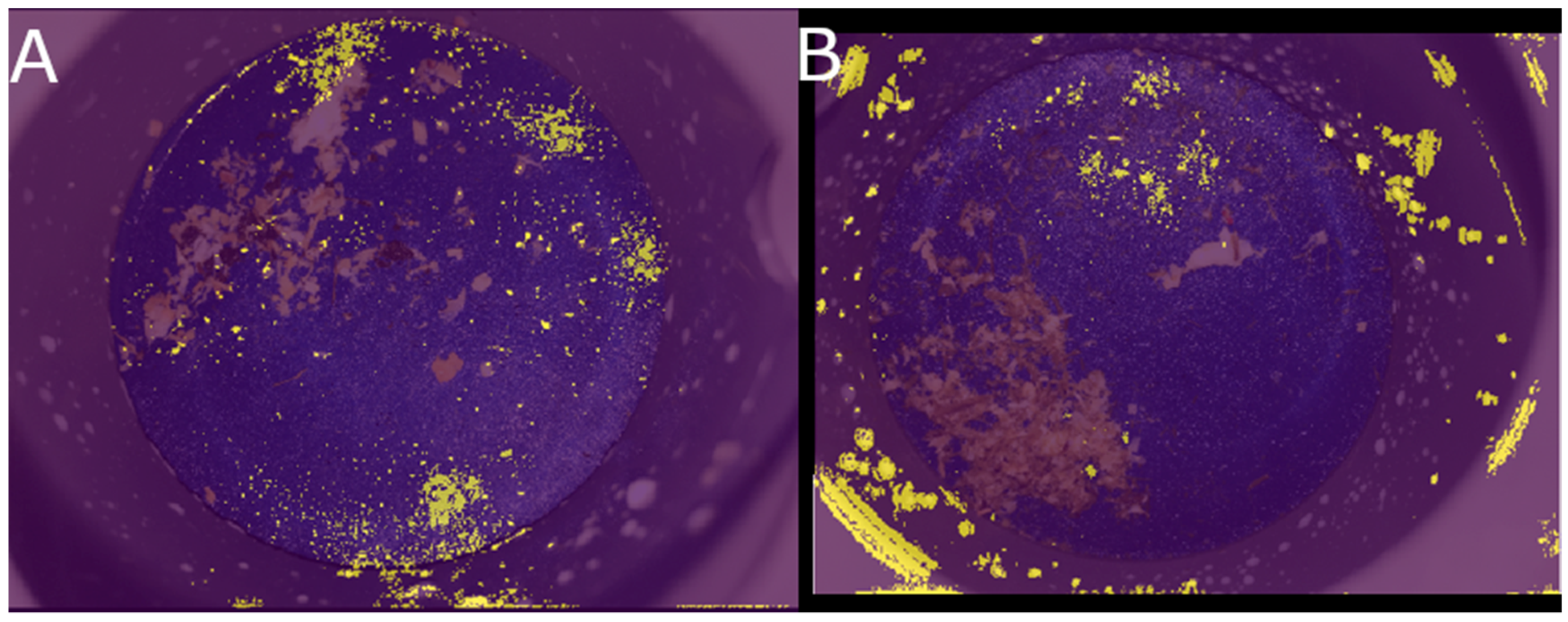 Animals 13 03783 g003