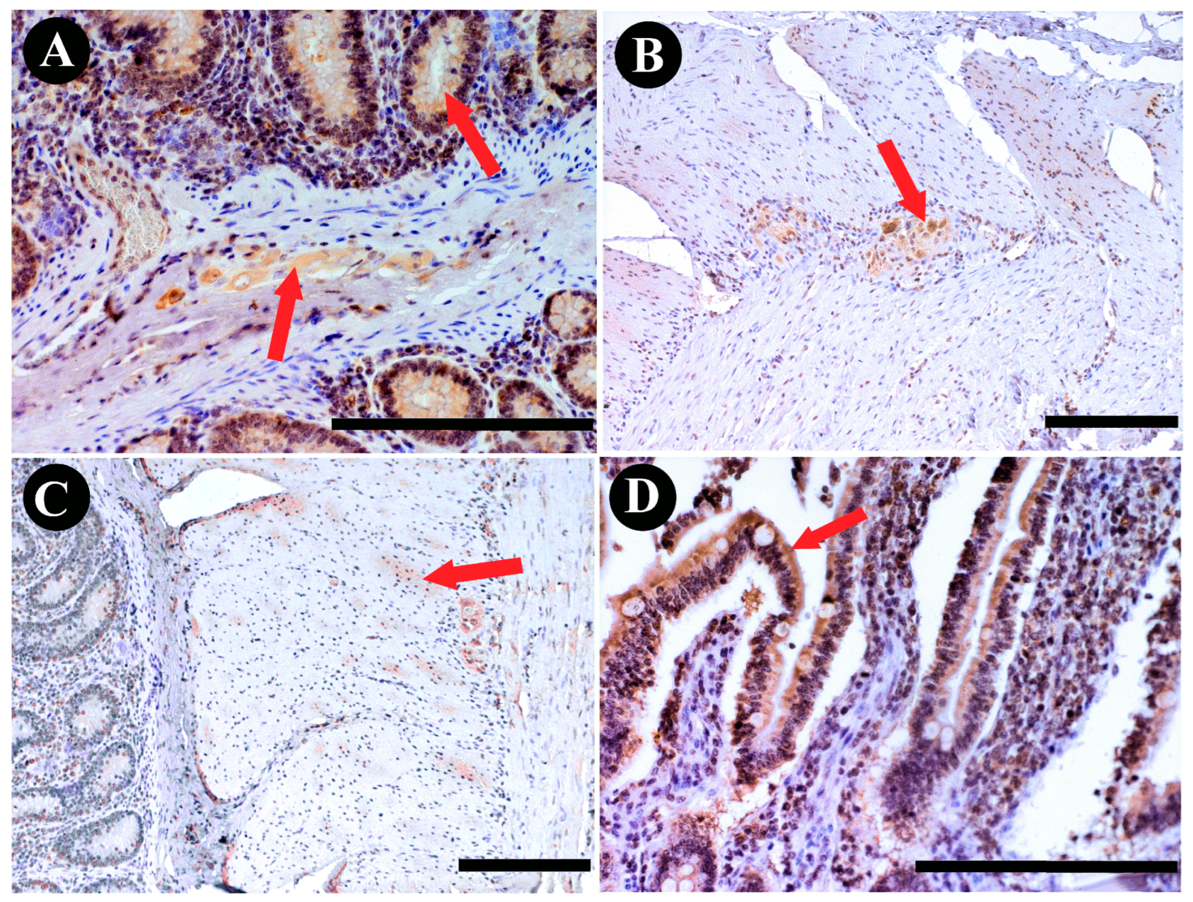 Animals 13 03789 g005