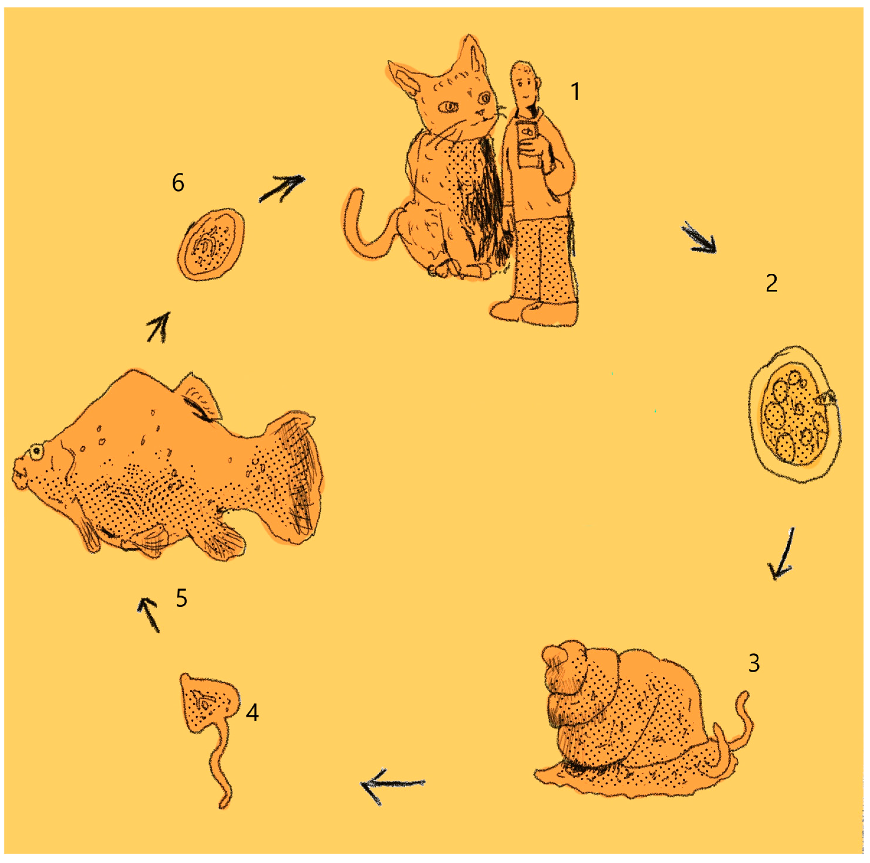 Animals 13 03793 g005