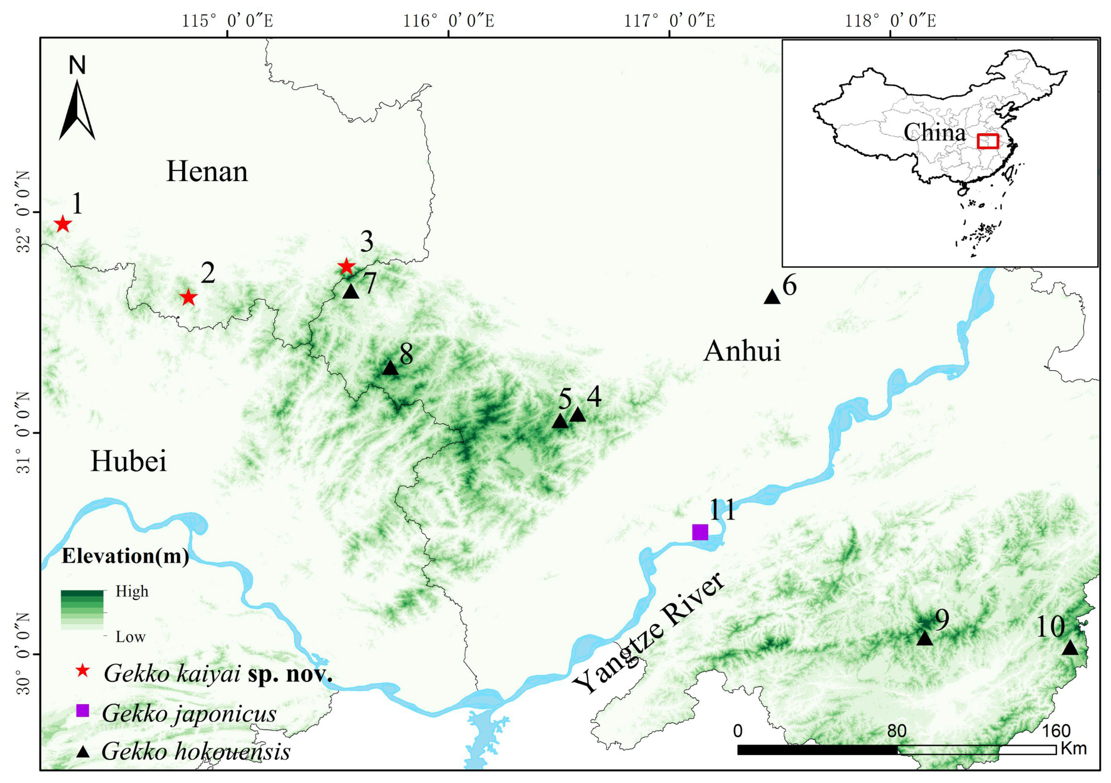 Animals 13 03796 g001 Animals 13 03796 g001