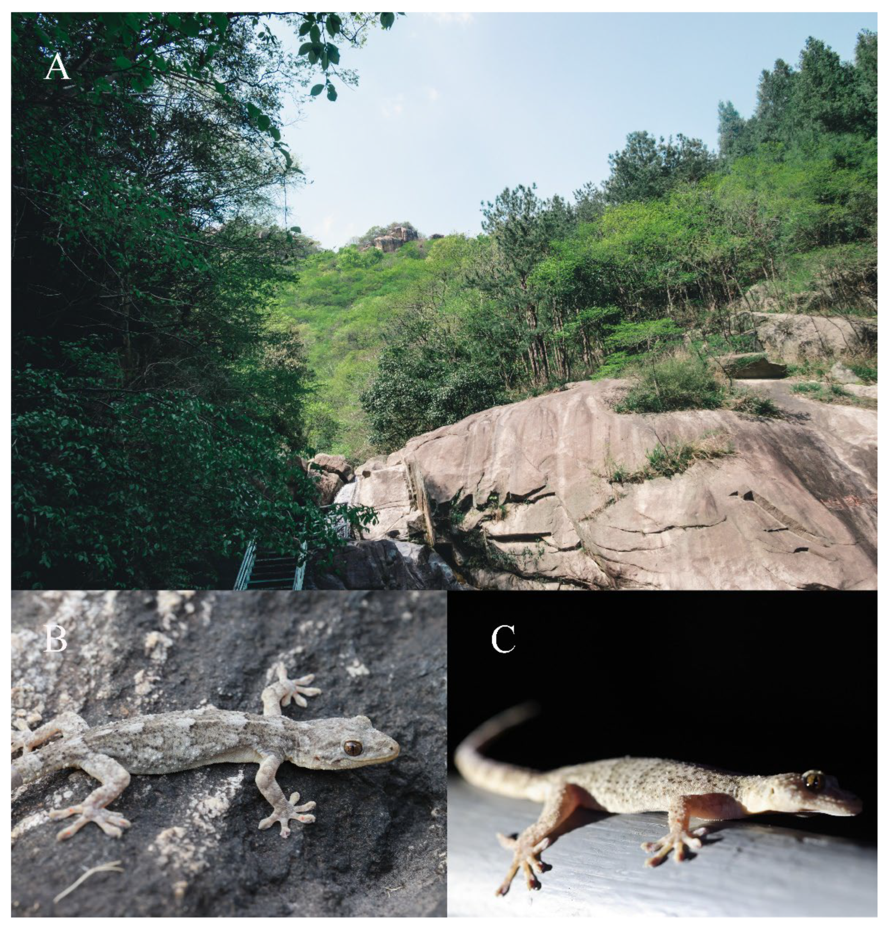 Animals 13 03796 g007 Animals 13 03796 g007