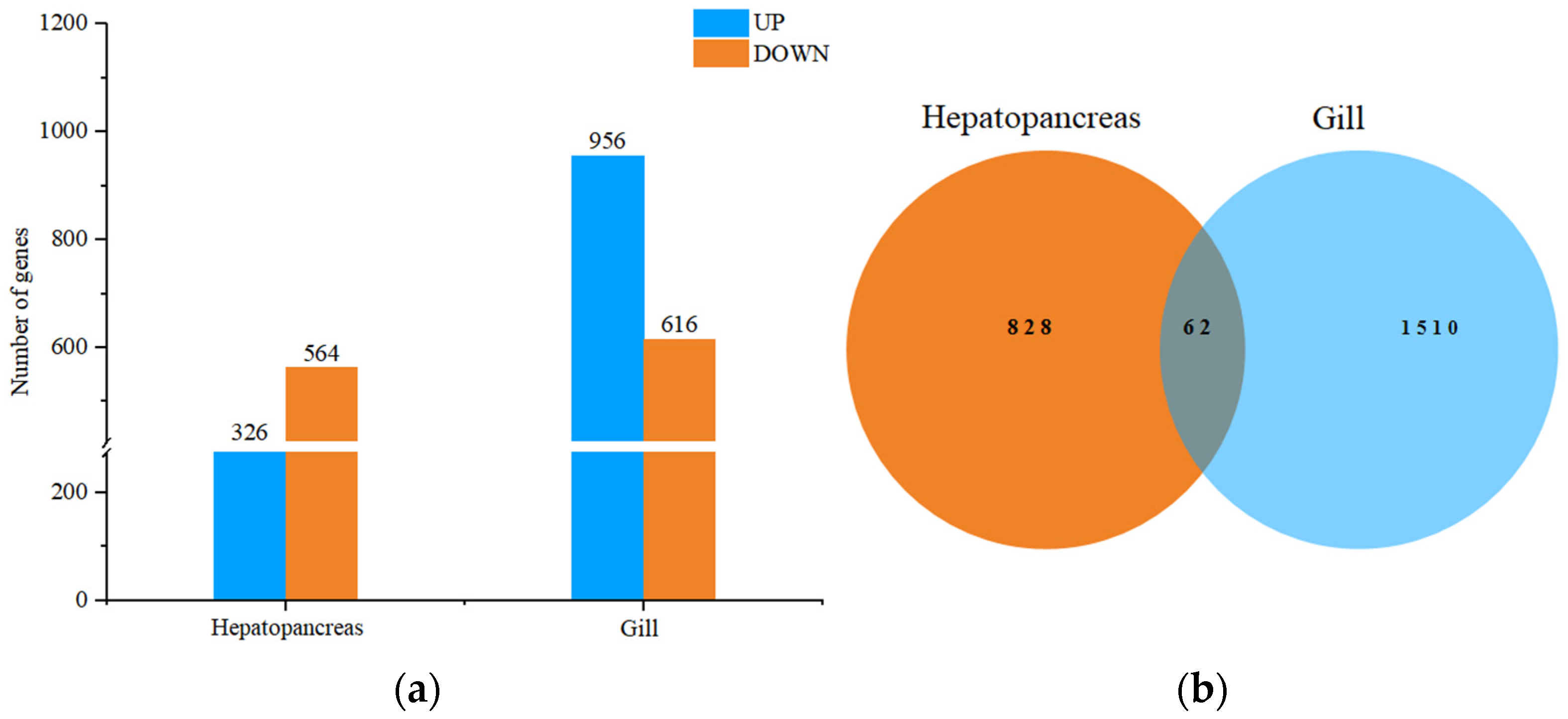 Animals 13 03799 g004