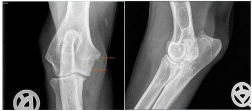 Animals 13 03803 i002