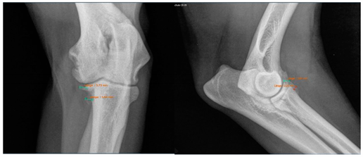 Animals 13 03803 i003