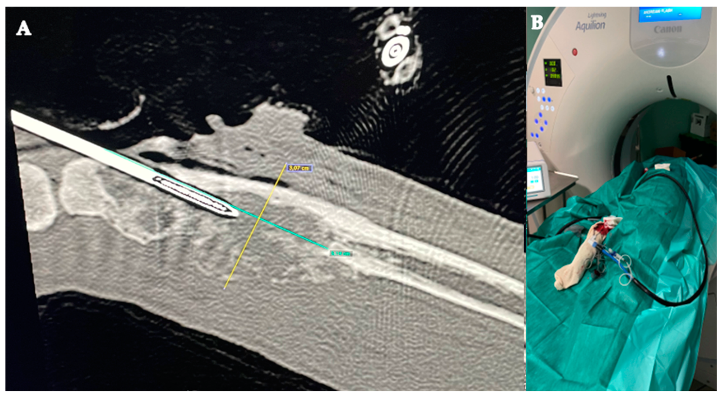 Animals 13 03804 g003