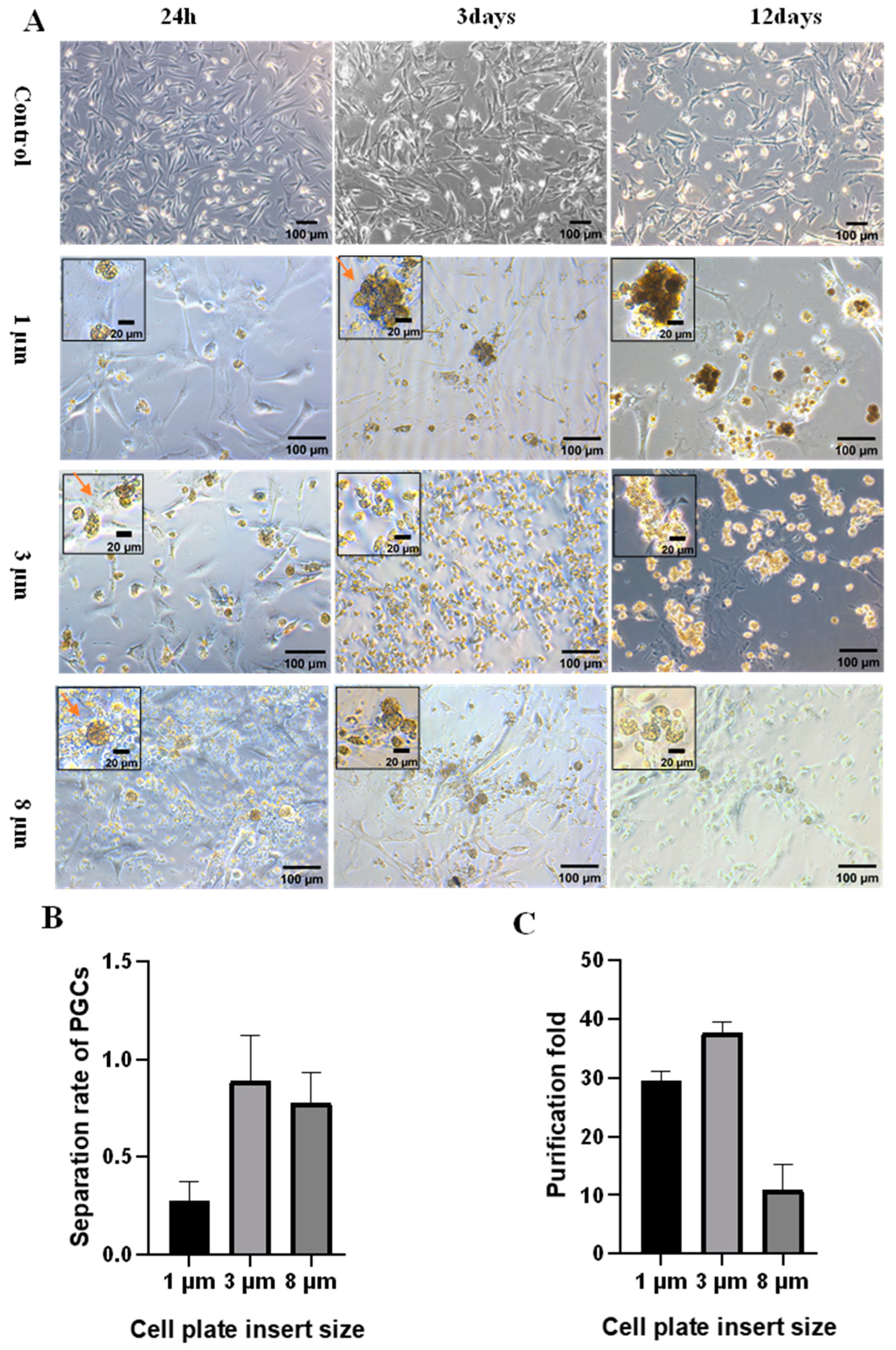 Animals 13 03805 g002 Animals 13 03805 g002