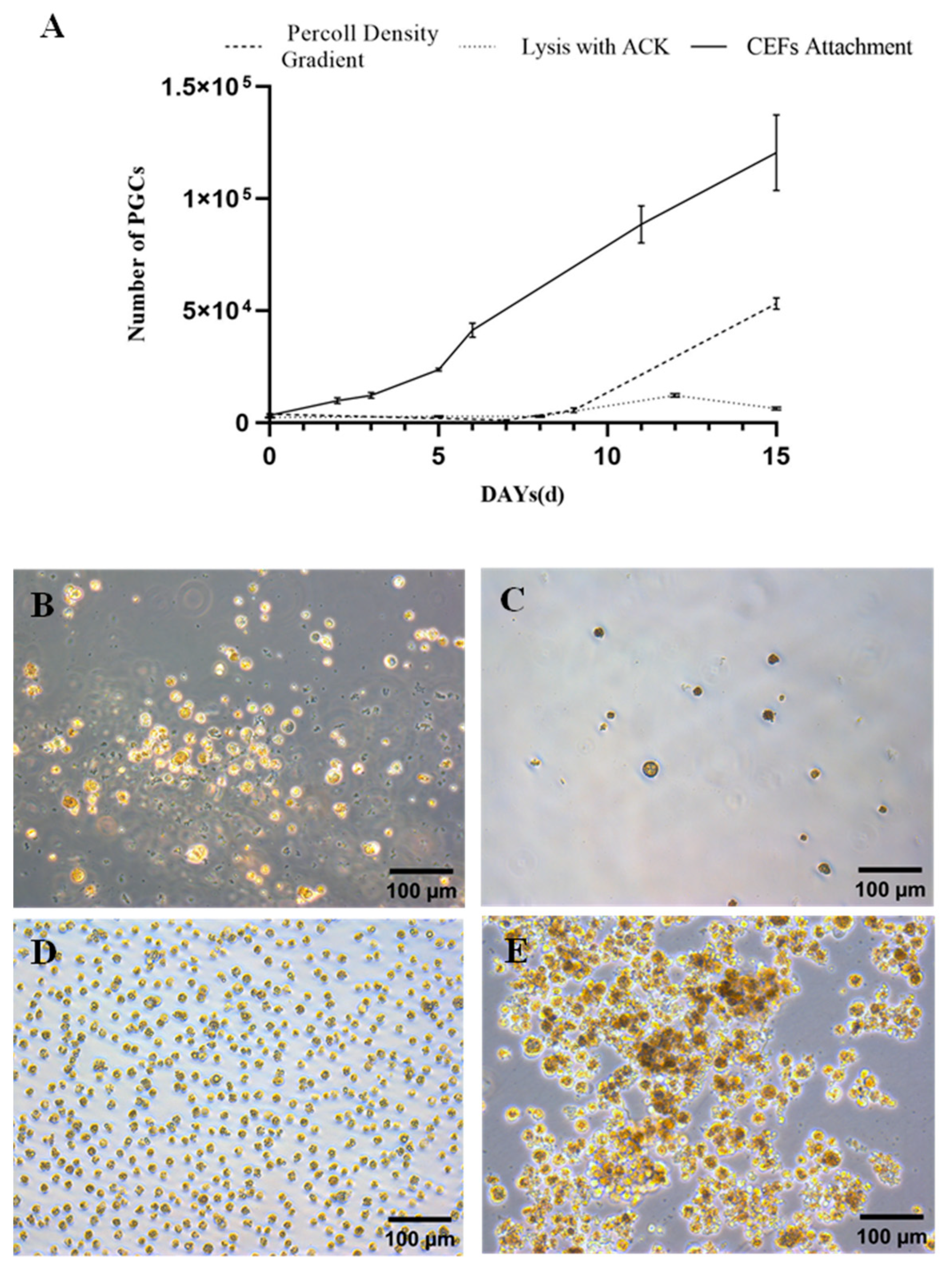 Animals 13 03805 g005 Animals 13 03805 g005