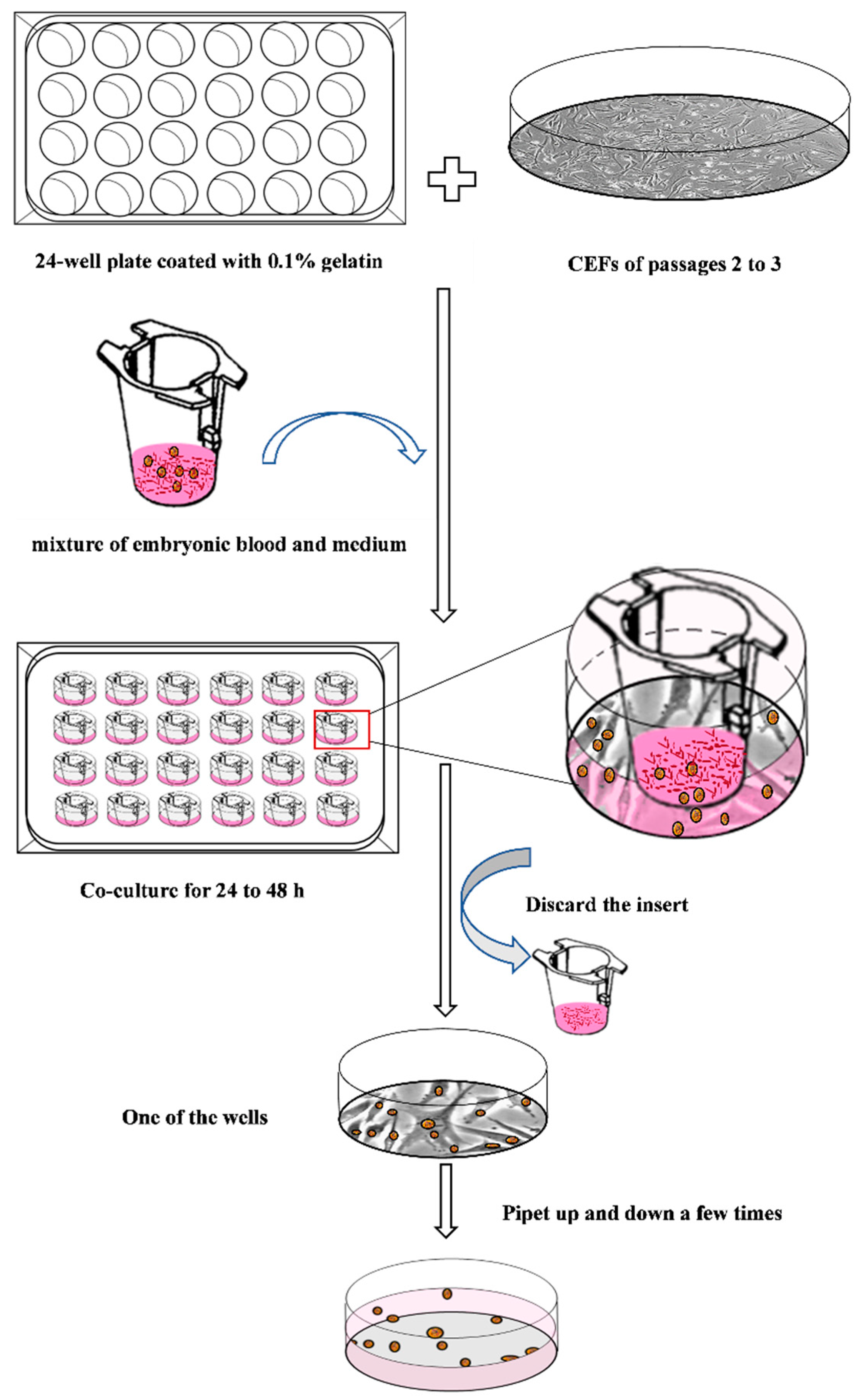 Animals 13 03805 g006 Animals 13 03805 g006