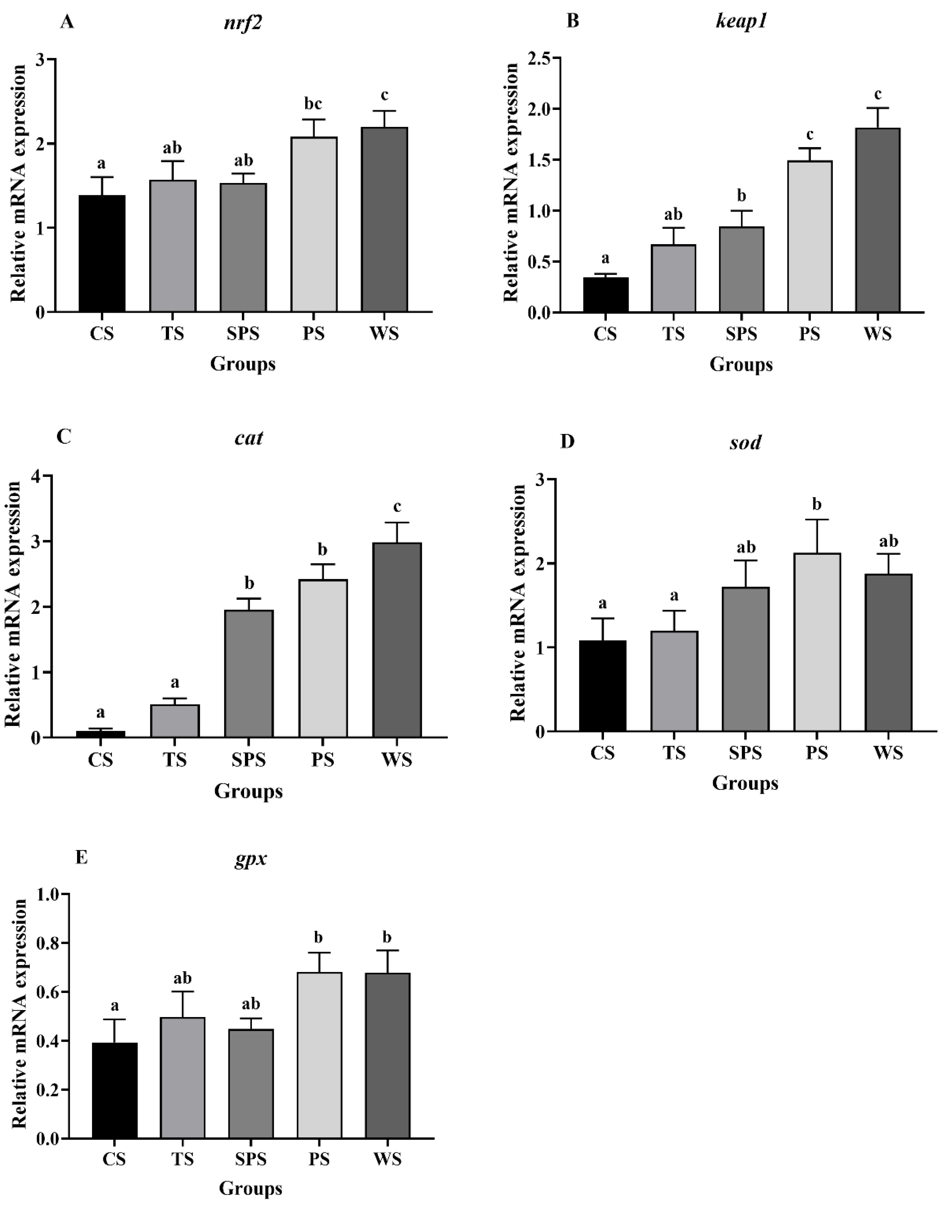 Animals 13 03808 g002