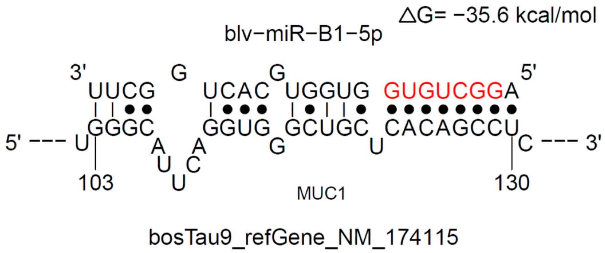 Animals 13 03811 g002