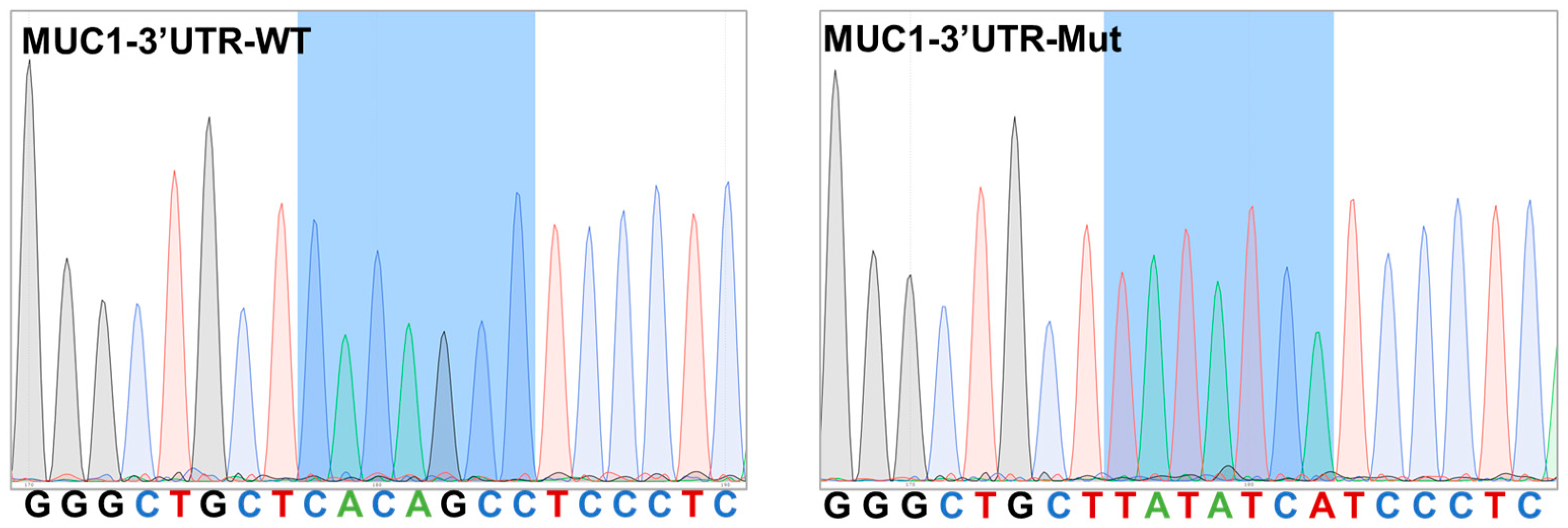 Animals 13 03811 g003
