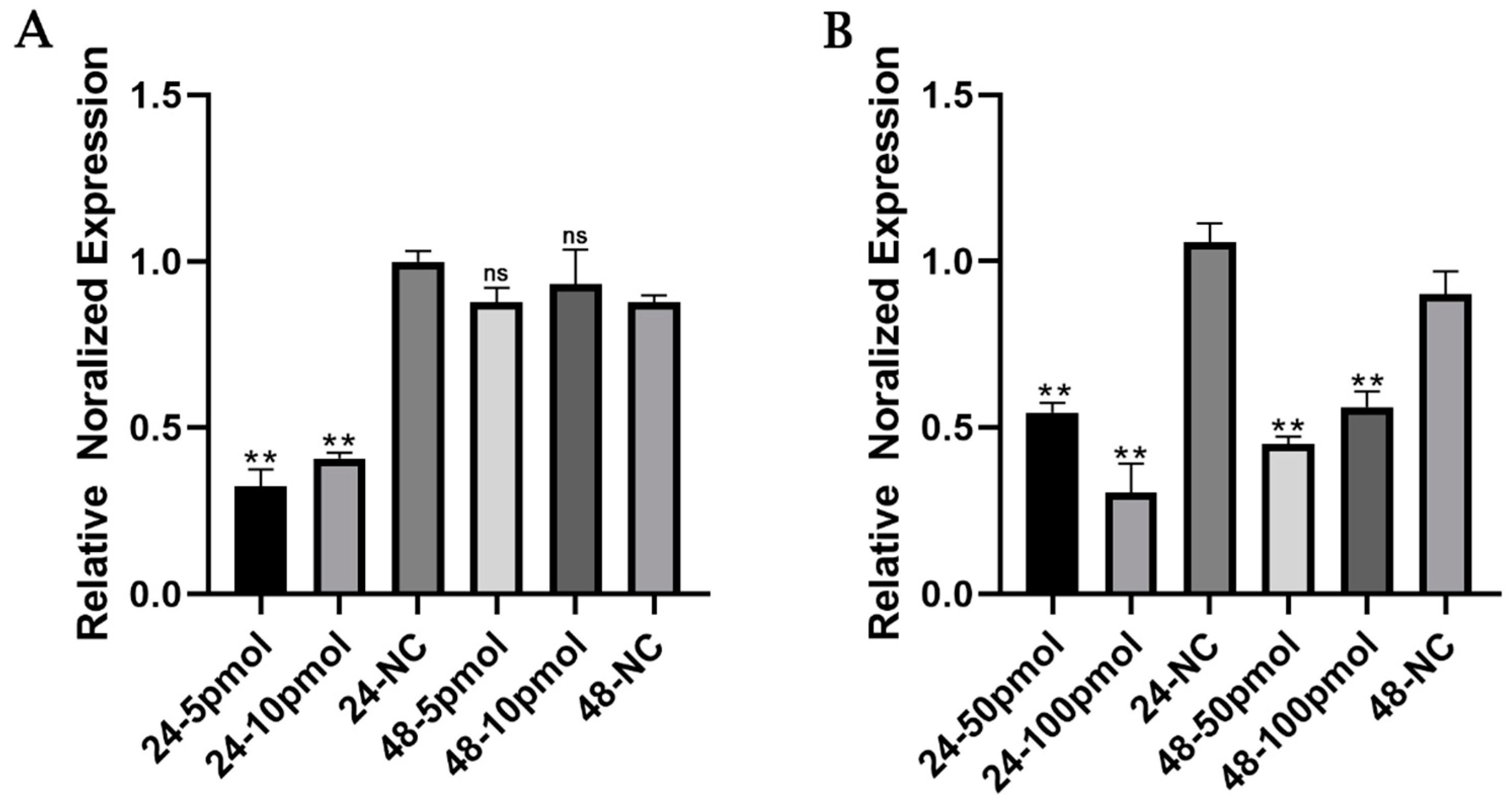 Animals 13 03811 g005
