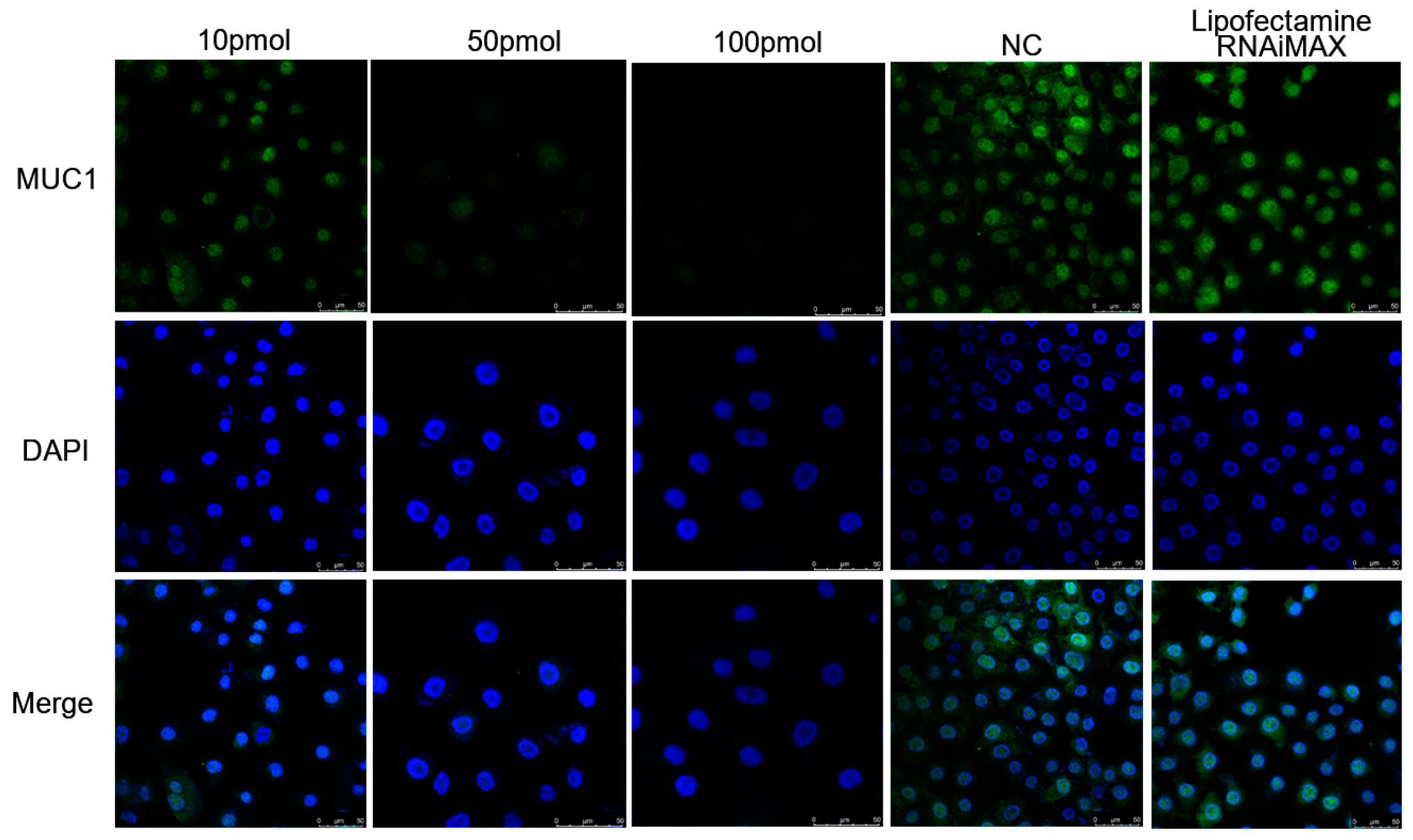 Animals 13 03811 g006