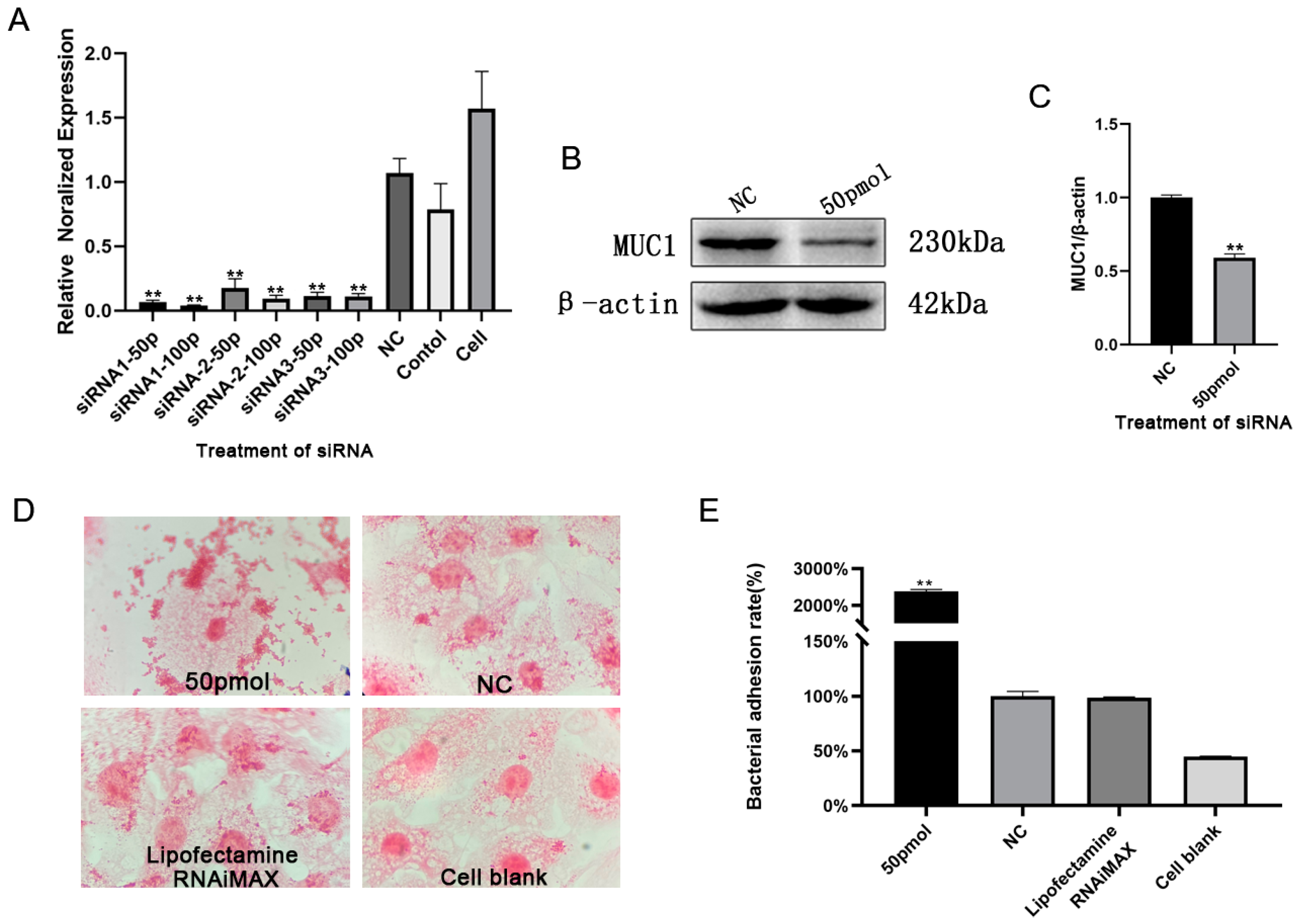 Animals 13 03811 g007