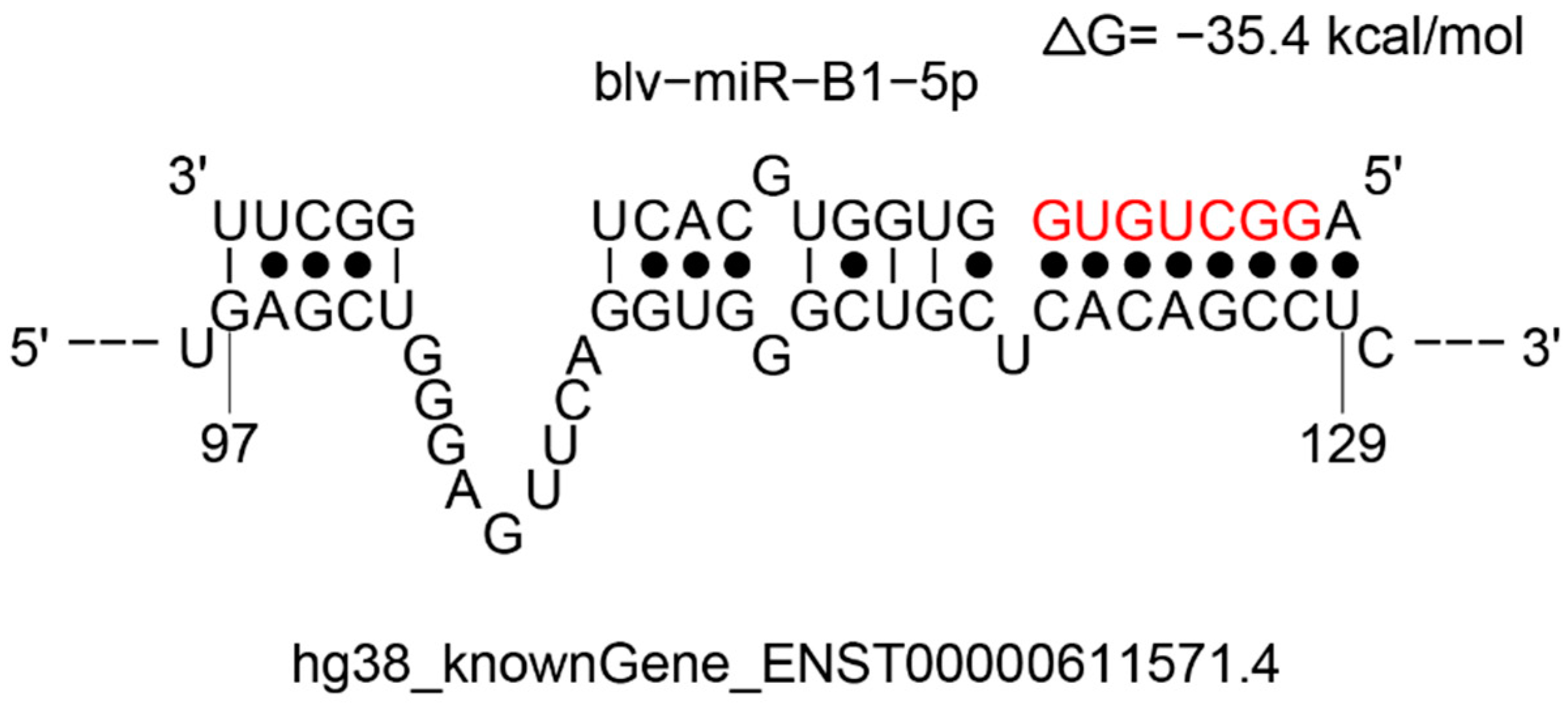 Animals 13 03811 g0a1