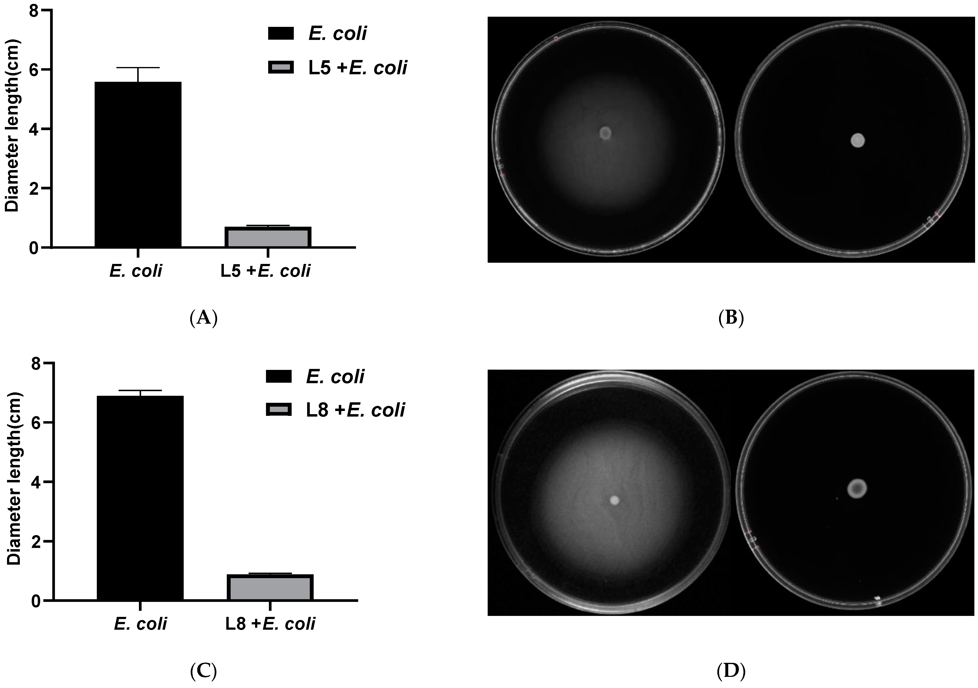 Animals 13 03812 g010