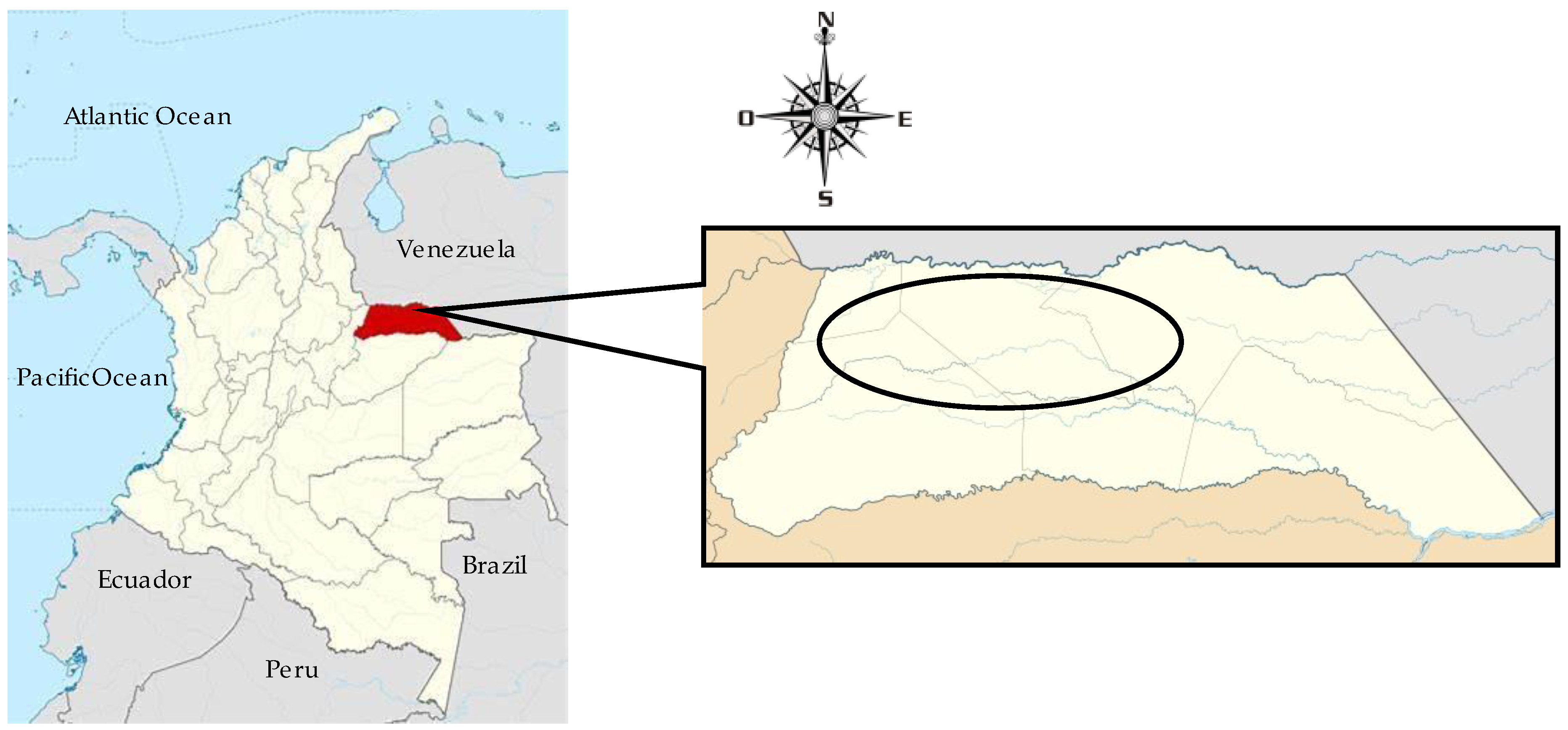 Animals 13 03815 g001