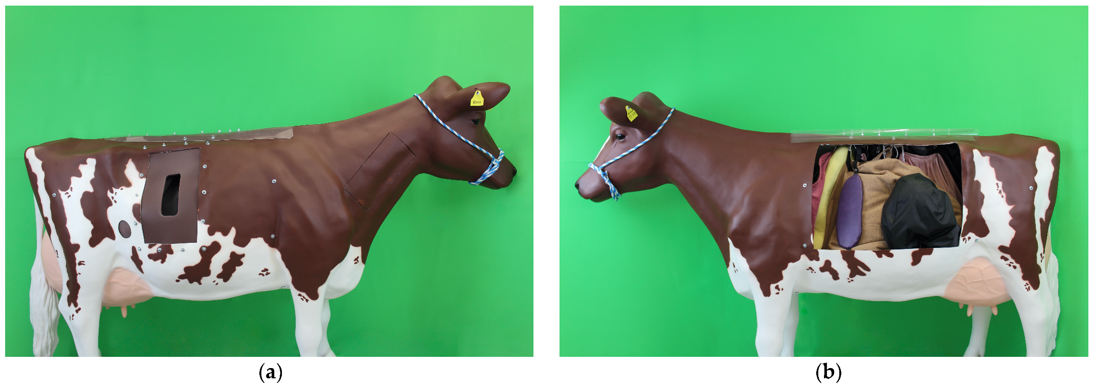 Animals 13 03822 g002