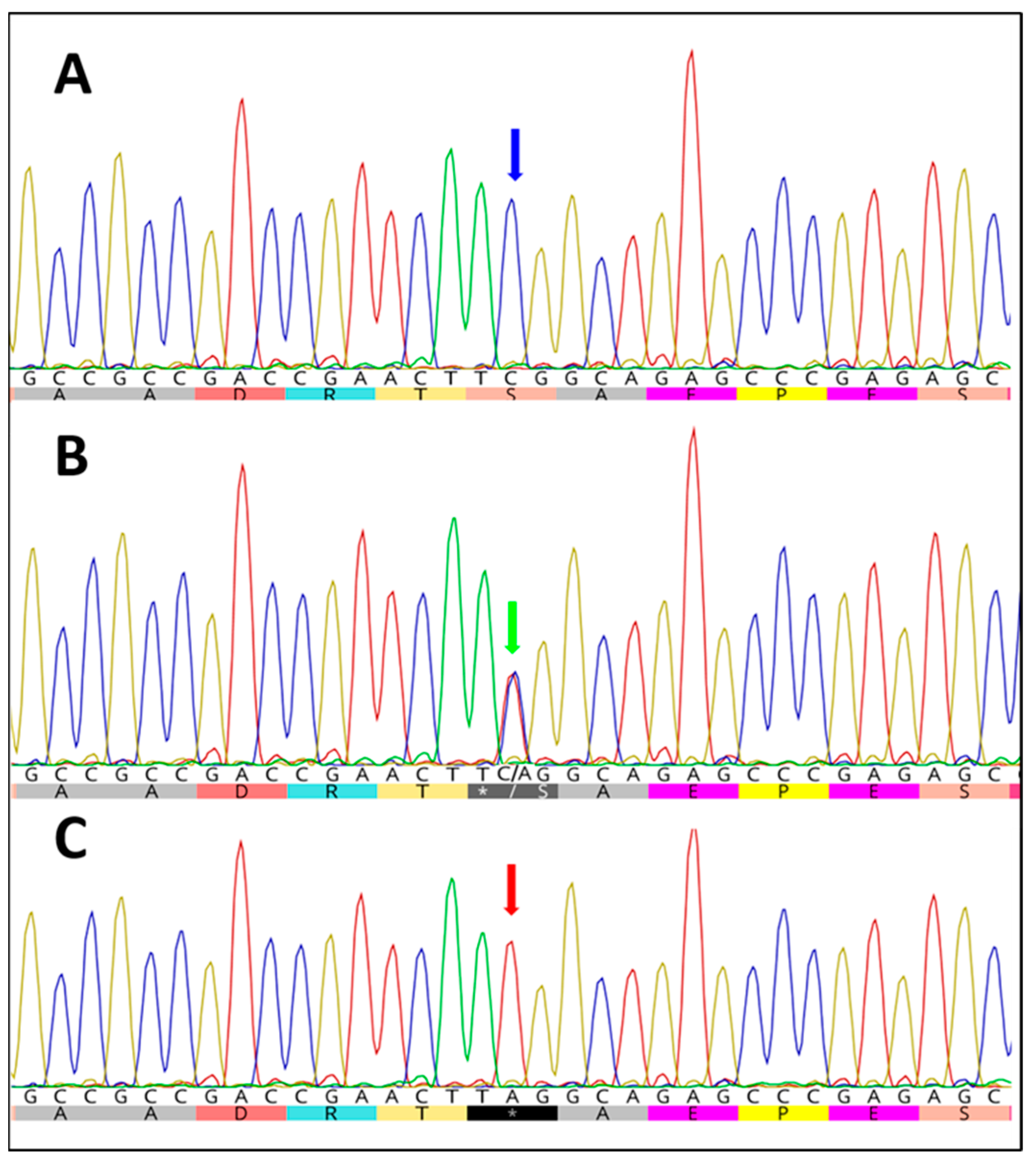 Animals 13 03829 g001